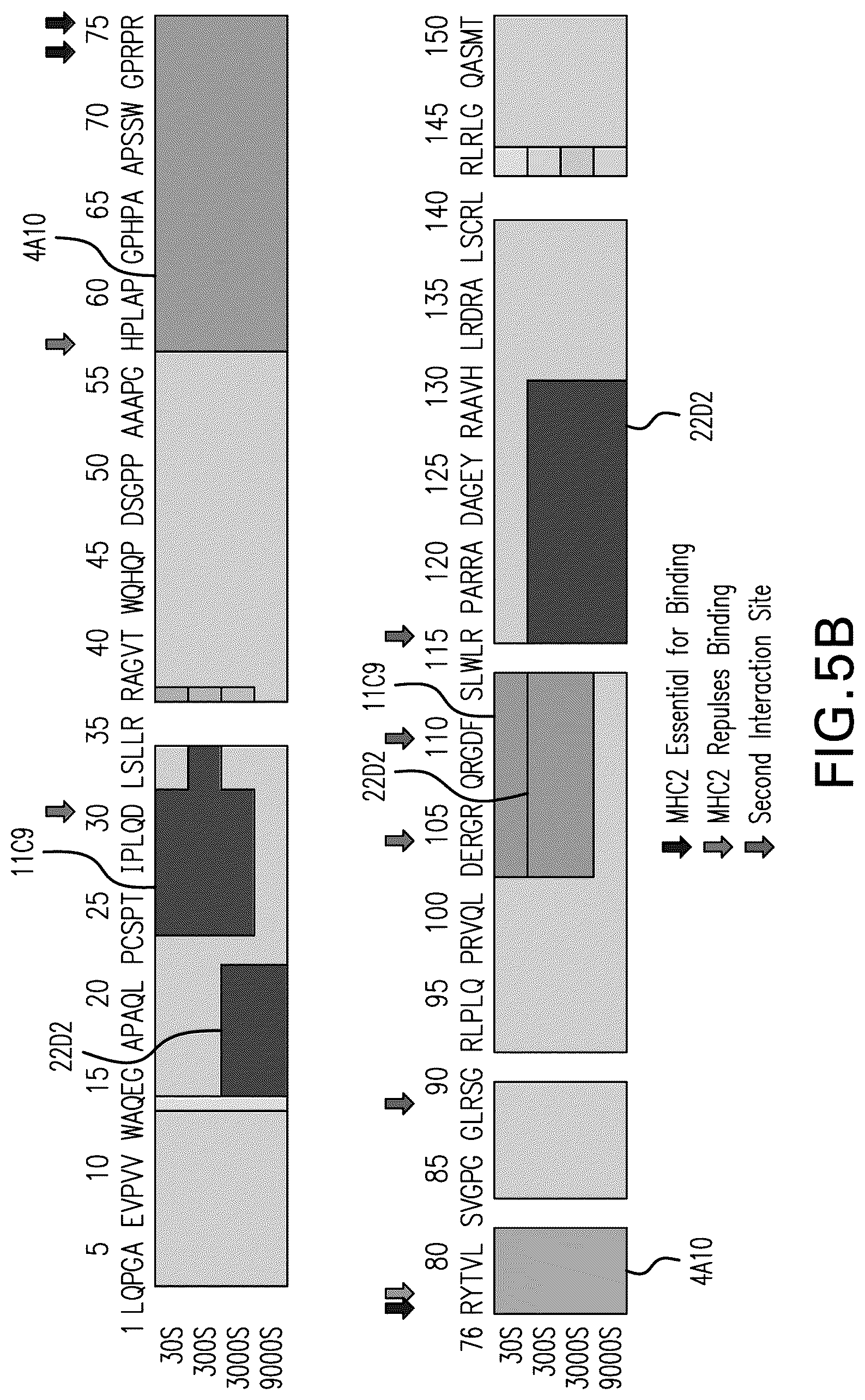 Patent US12102681 Figure 12 – Anti-LAG3 antibodies and antigen-binding fragments