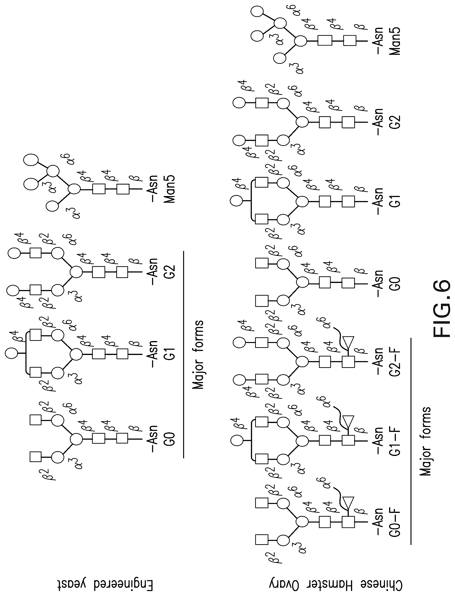 Patent US12102681 Figure 13 – Anti-LAG3 antibodies and antigen-binding fragments