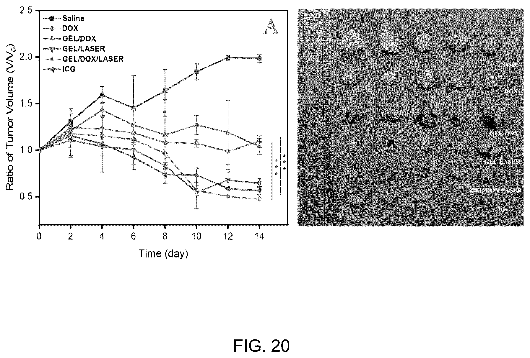 Patent US12102682 Figure 20 – Injectable photothermal hydrogel based on melanin, preparation method, and application thereof
