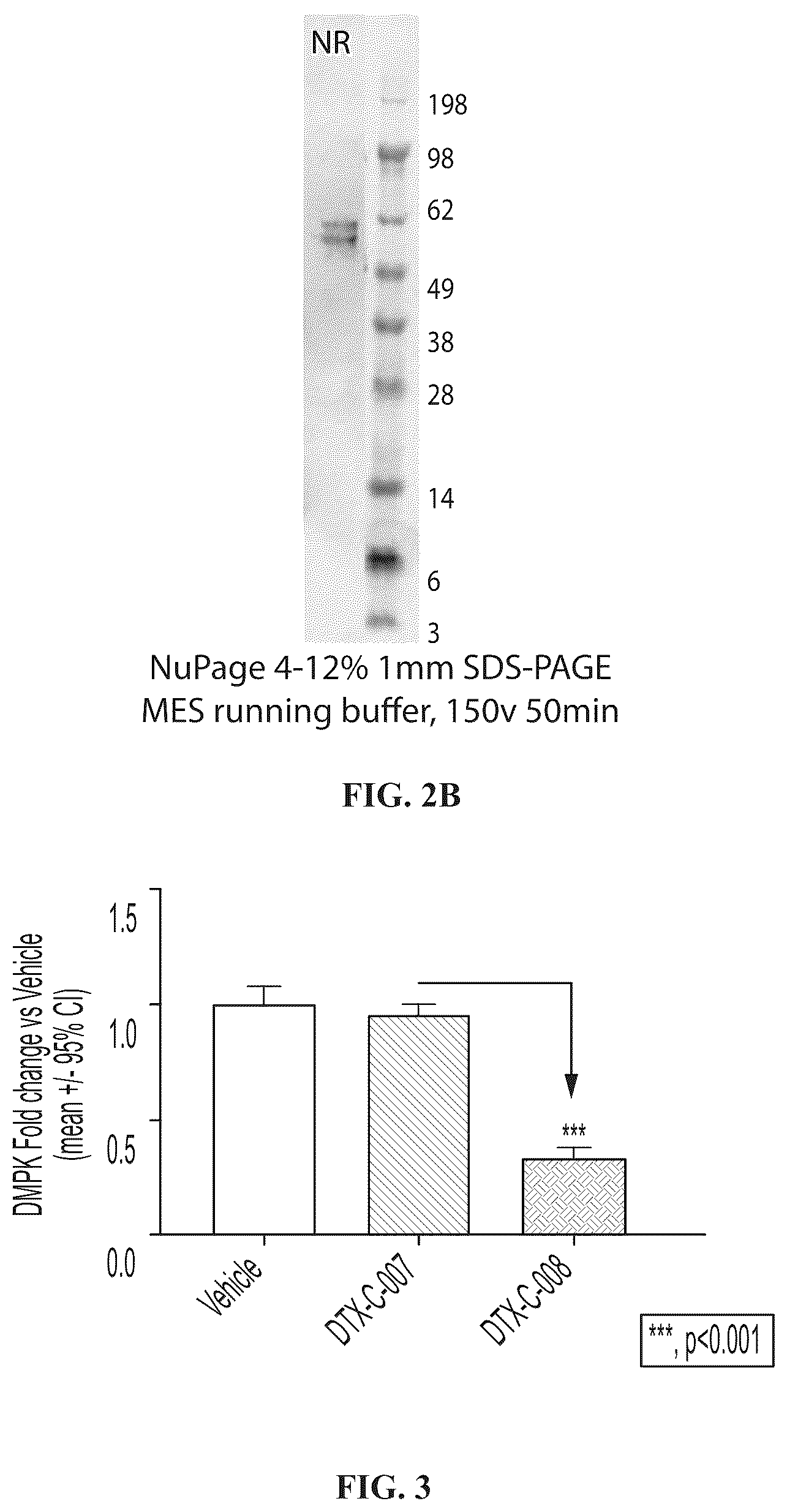 Patent US12102687 Figure 3 – Muscle targeting complexes and uses thereof for treating myotonic dystrophy