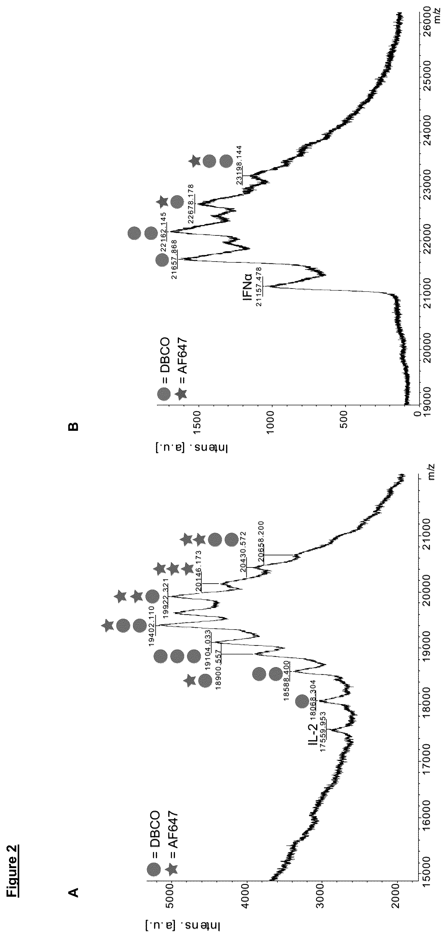 Patent US12102688 Figure 2 – Immunomodulatory nanofilaments