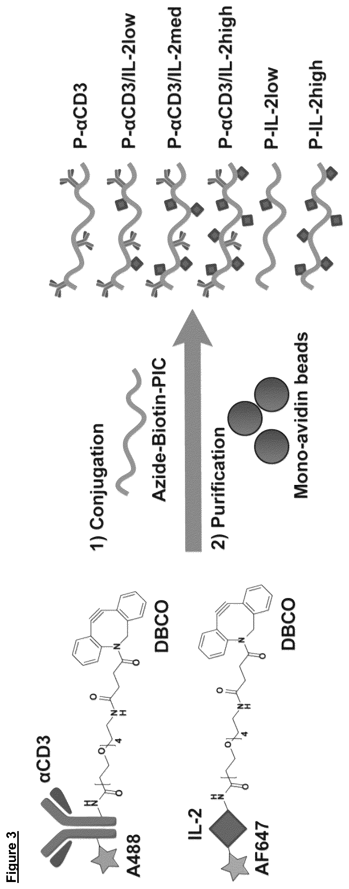 Patent US12102688 Figure 3 – Immunomodulatory nanofilaments