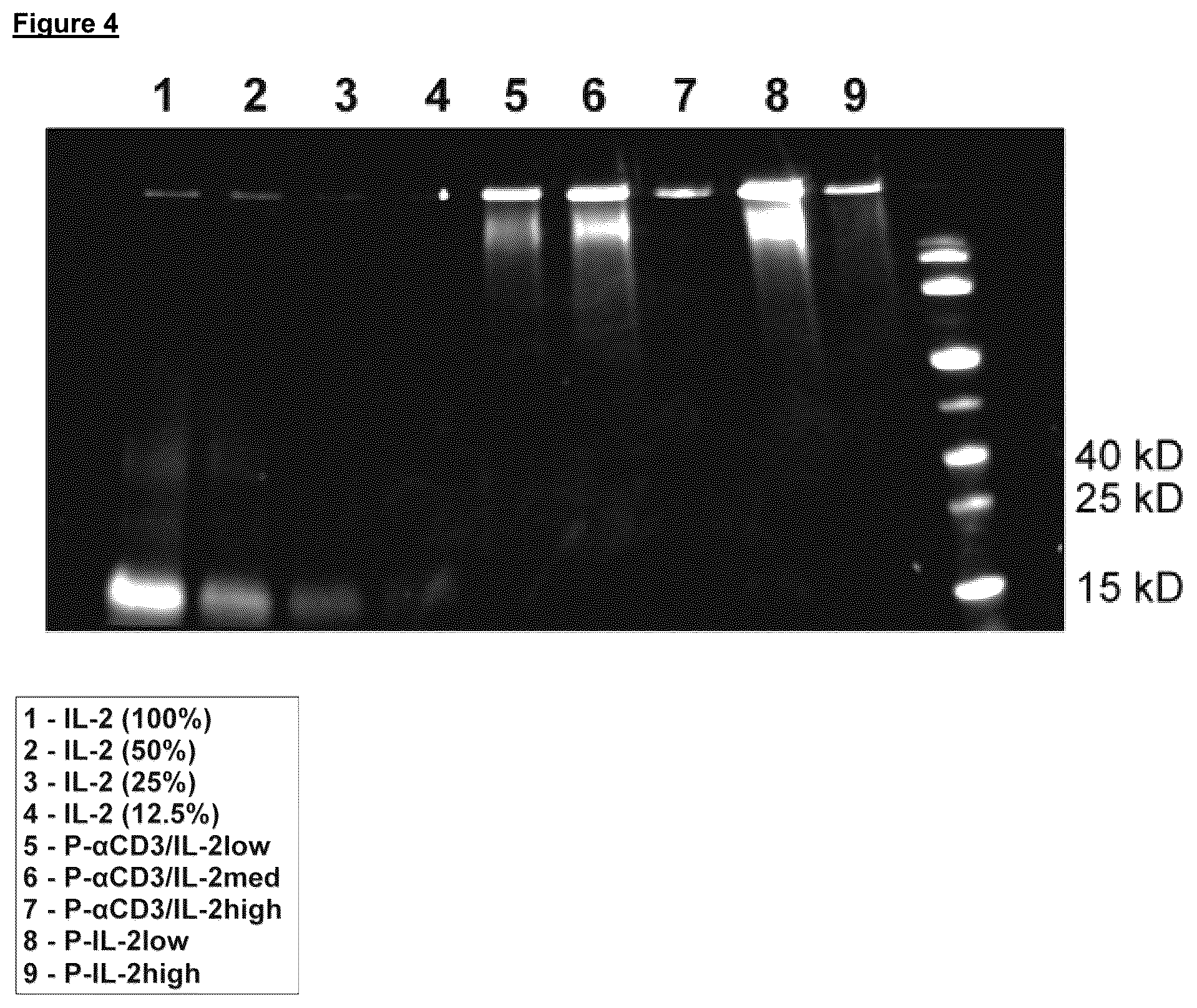 Patent US12102688 Figure 4 – Immunomodulatory nanofilaments