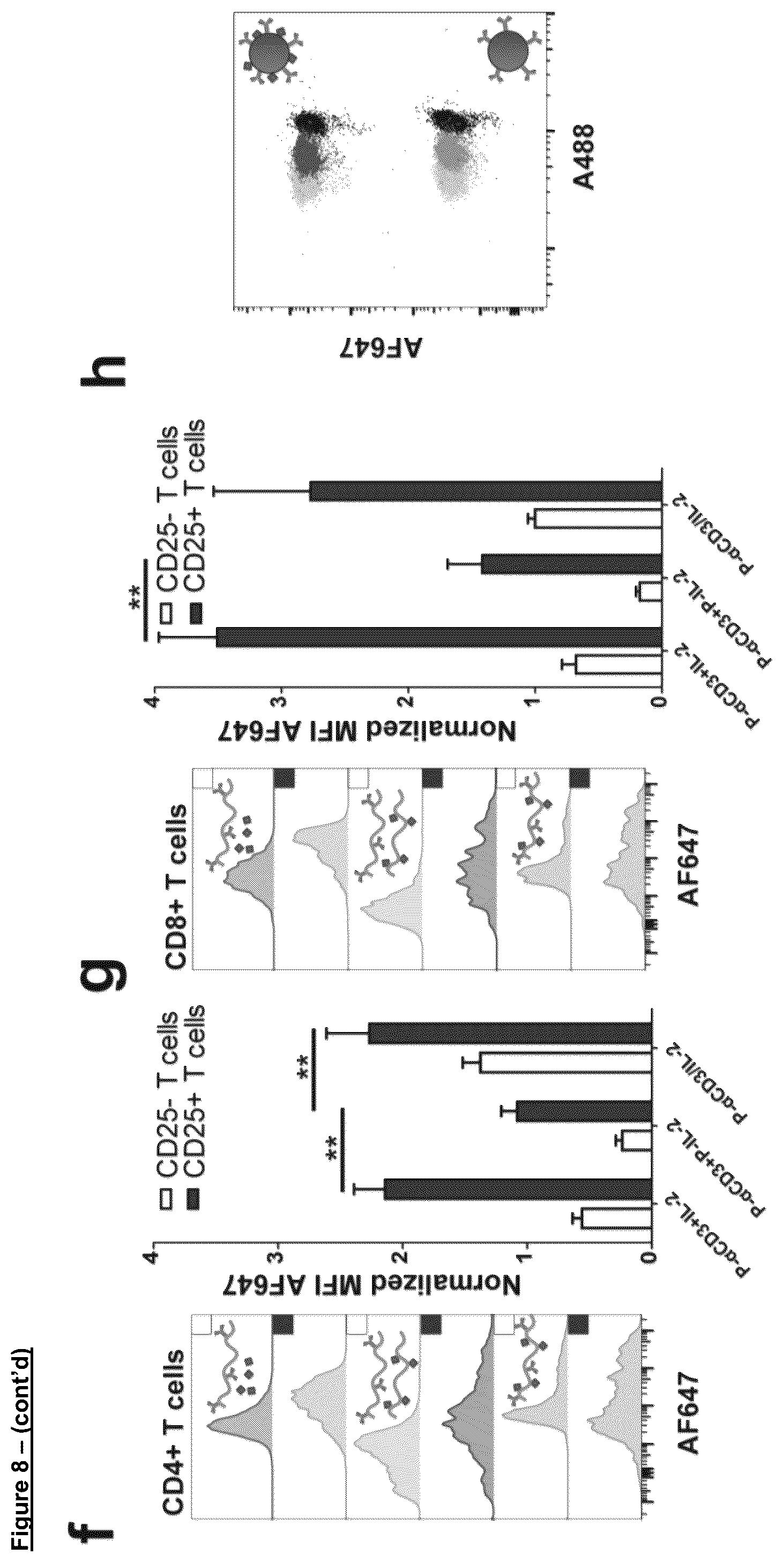 Patent US12102688 Figure 11 – Immunomodulatory nanofilaments