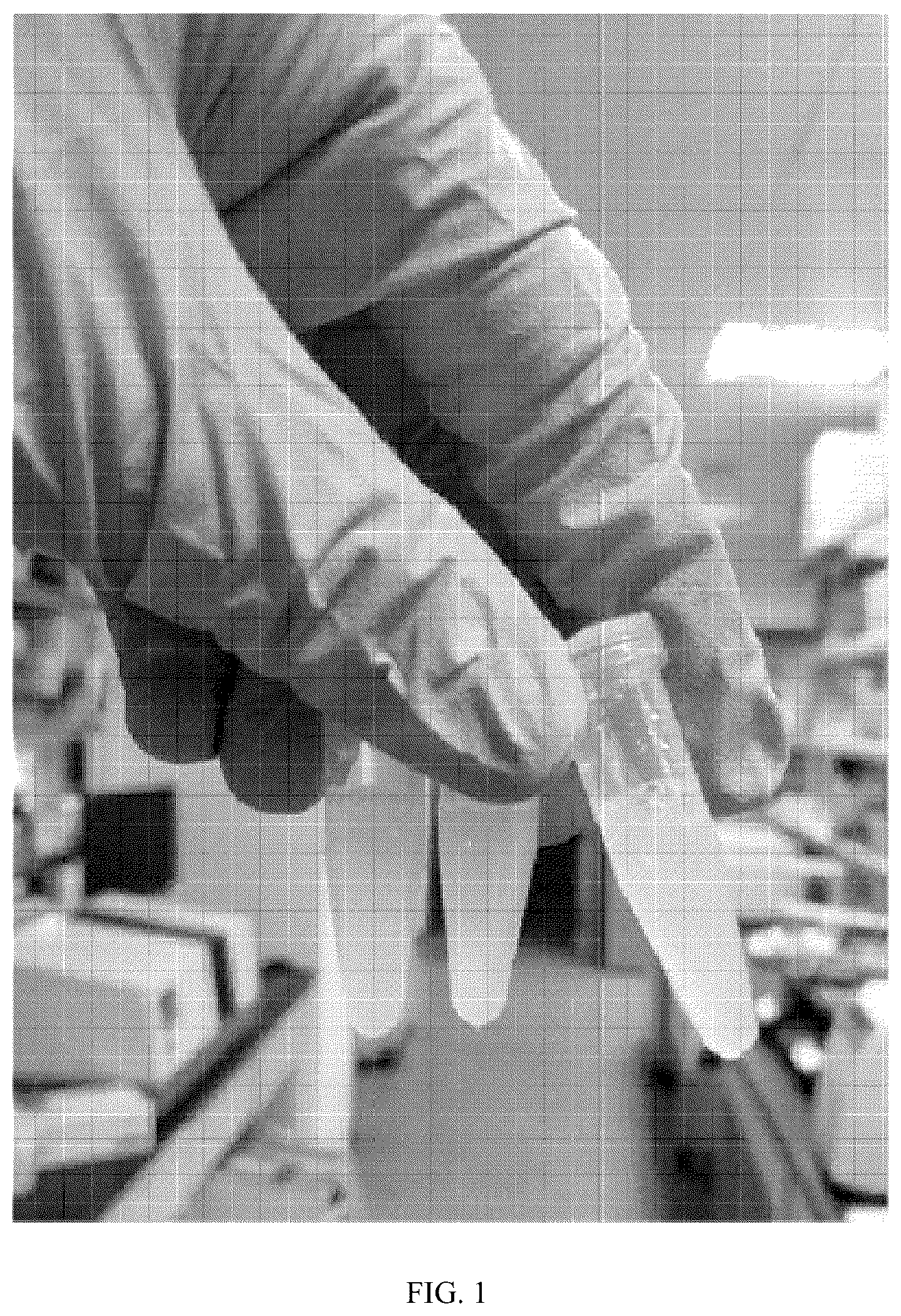 Patent US12102690 Figure 1 – Preparation method and application of biomimetic nano-protectant for detoxifying dox-induced cardiac and systemic toxicity