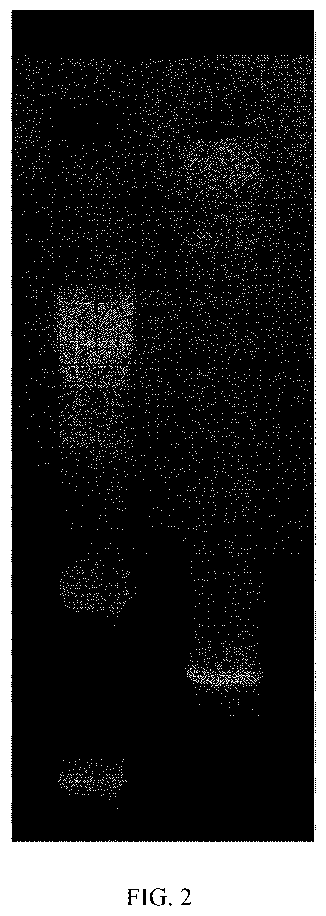 Patent US12102690 Figure 2 – Preparation method and application of biomimetic nano-protectant for detoxifying dox-induced cardiac and systemic toxicity