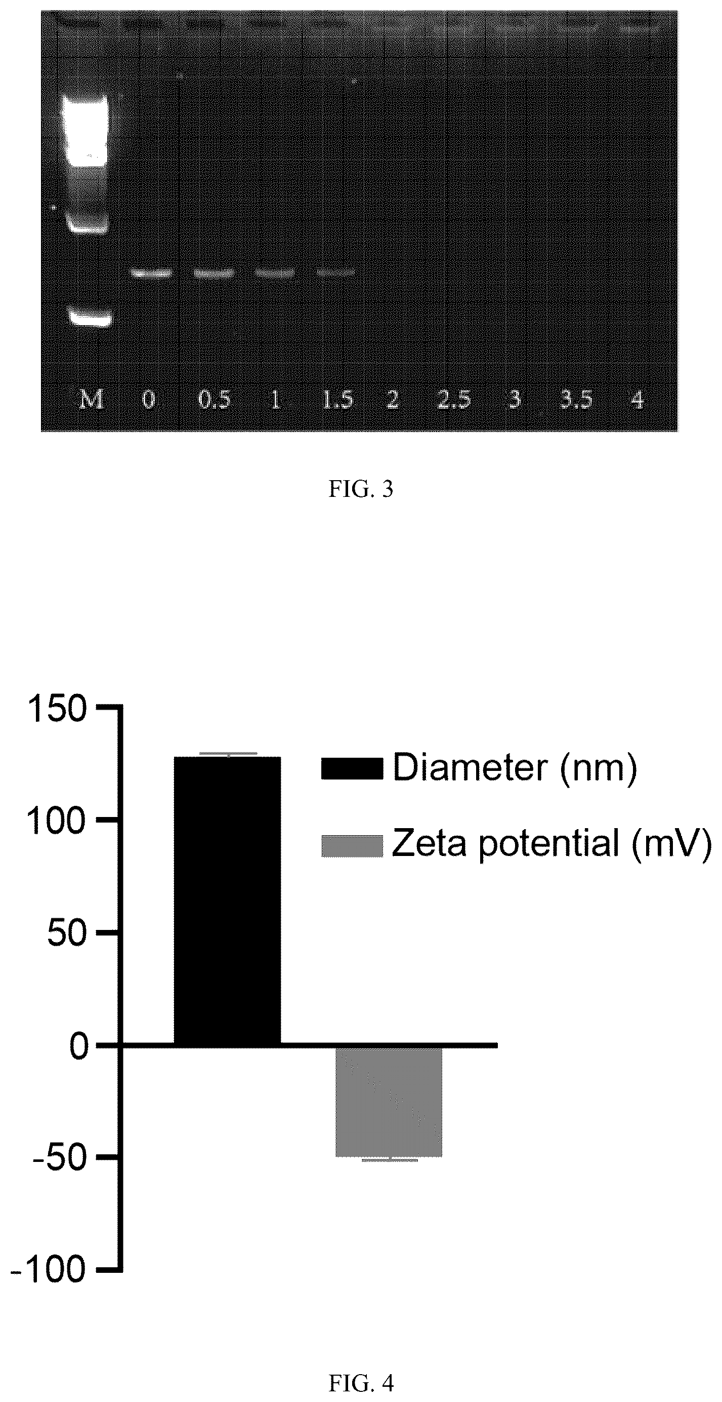 Patent US12102690 Figure 3 – Preparation method and application of biomimetic nano-protectant for detoxifying dox-induced cardiac and systemic toxicity