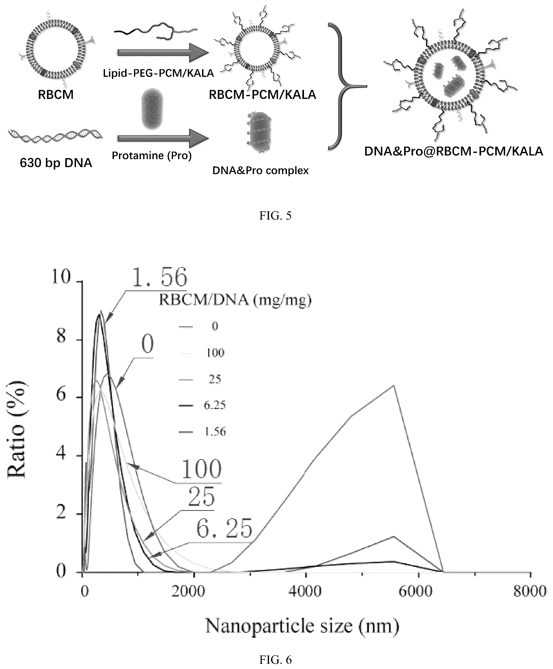 Patent US12102690 Figure 4 – Preparation method and application of biomimetic nano-protectant for detoxifying dox-induced cardiac and systemic toxicity