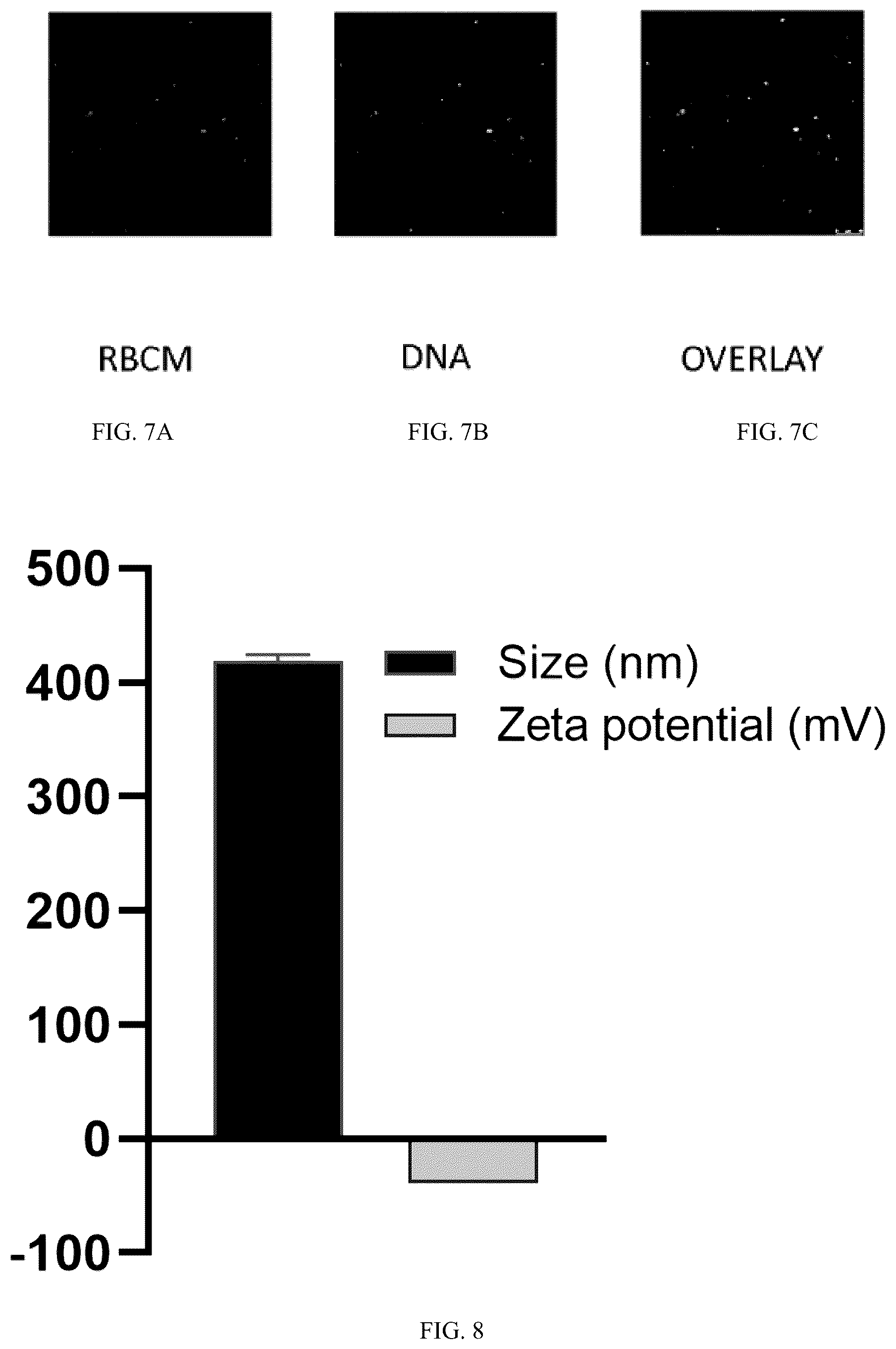 Patent US12102690 Figure 5 – Preparation method and application of biomimetic nano-protectant for detoxifying dox-induced cardiac and systemic toxicity