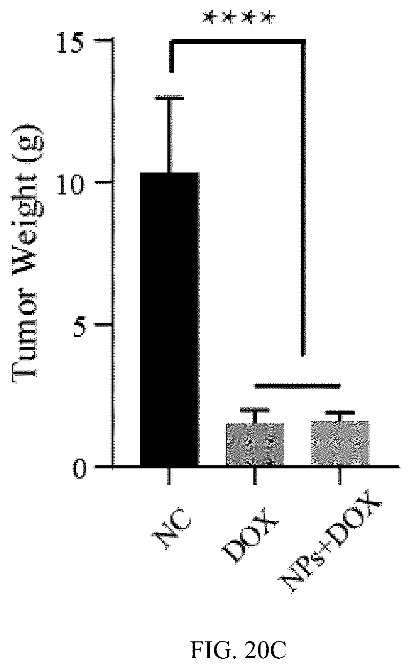 Patent US12102690 Figure 17 – Preparation method and application of biomimetic nano-protectant for detoxifying dox-induced cardiac and systemic toxicity