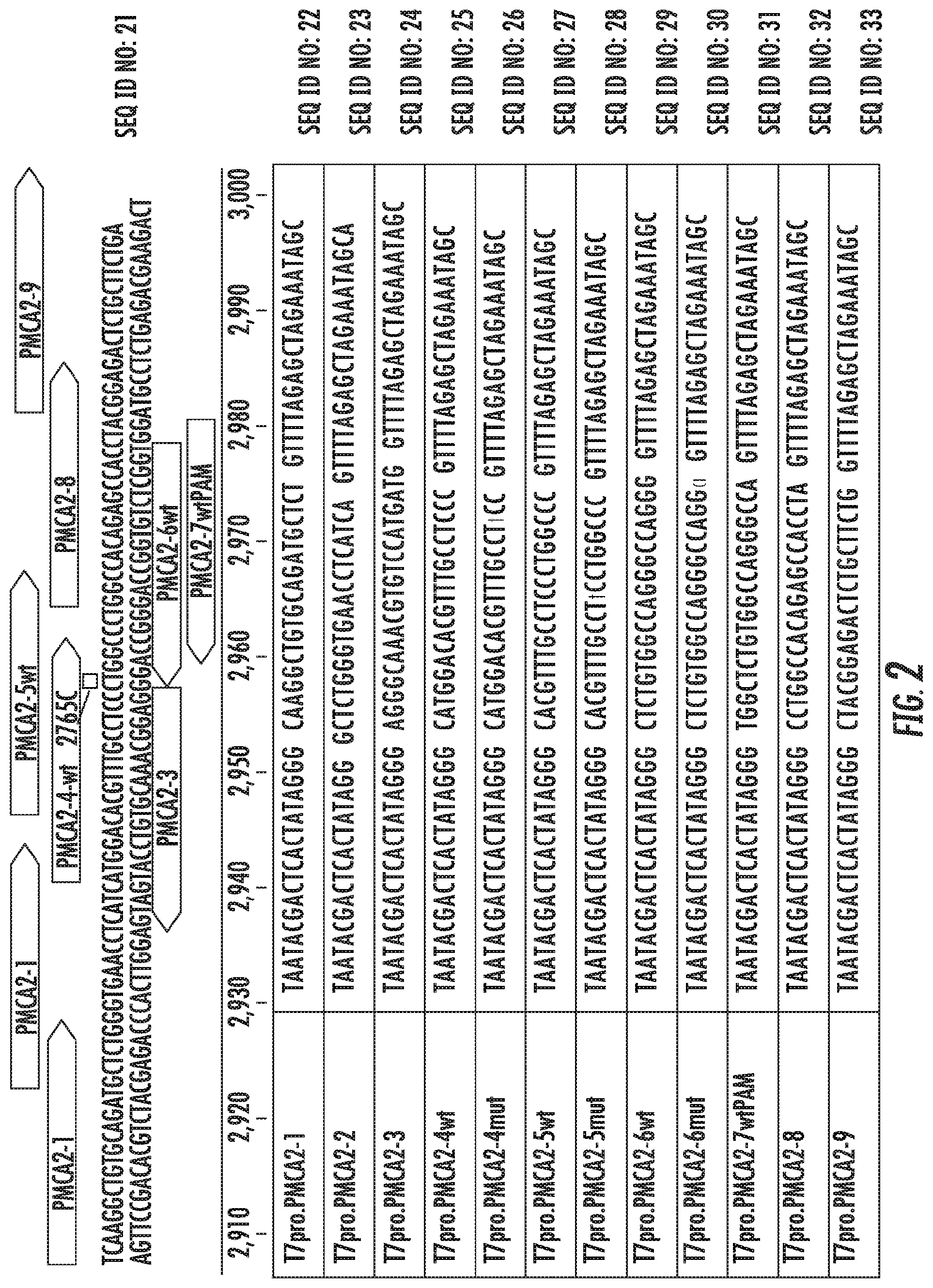Patent US12102691 Figure 2 – Methods for efficient delivery of therapeutic molecules in vitro and in vivo