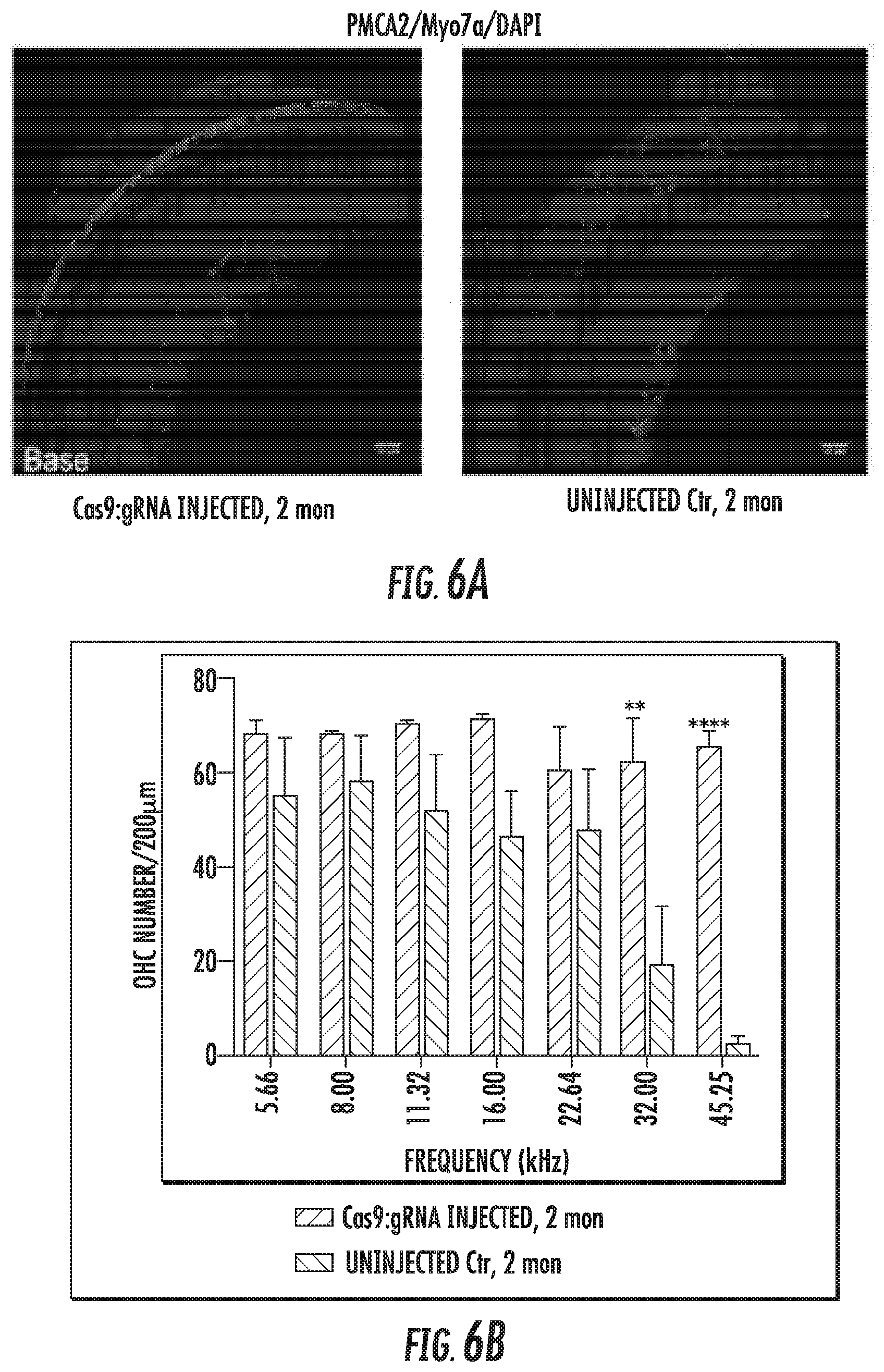Patent US12102691 Figure 5 – Methods for efficient delivery of therapeutic molecules in vitro and in vivo