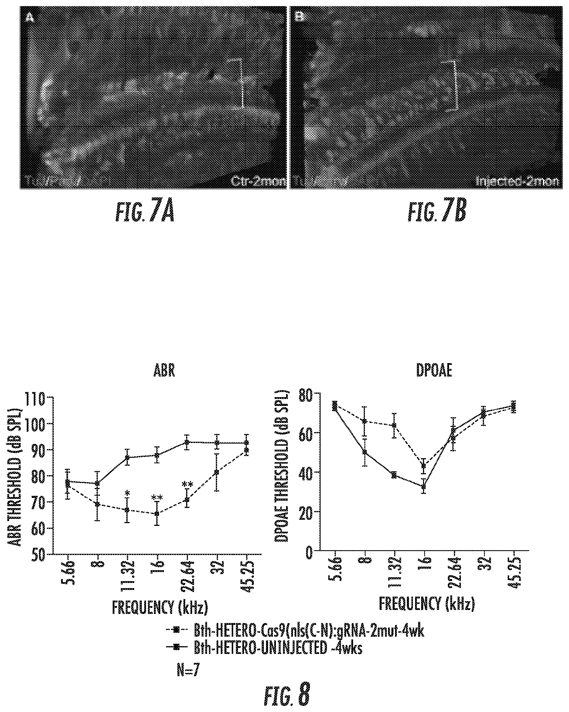 Patent US12102691 Figure 6 – Methods for efficient delivery of therapeutic molecules in vitro and in vivo