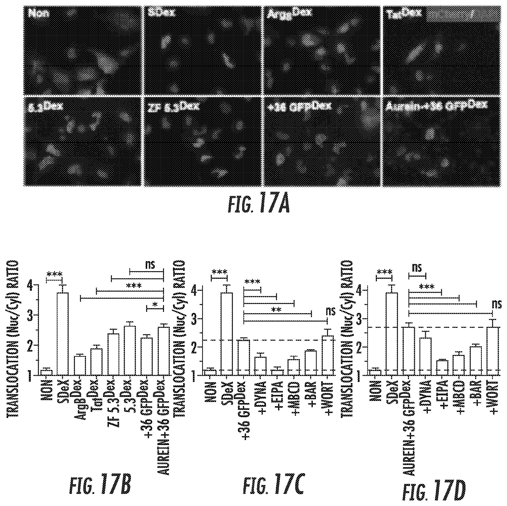 Patent US12102691 Figure 14 – Methods for efficient delivery of therapeutic molecules in vitro and in vivo