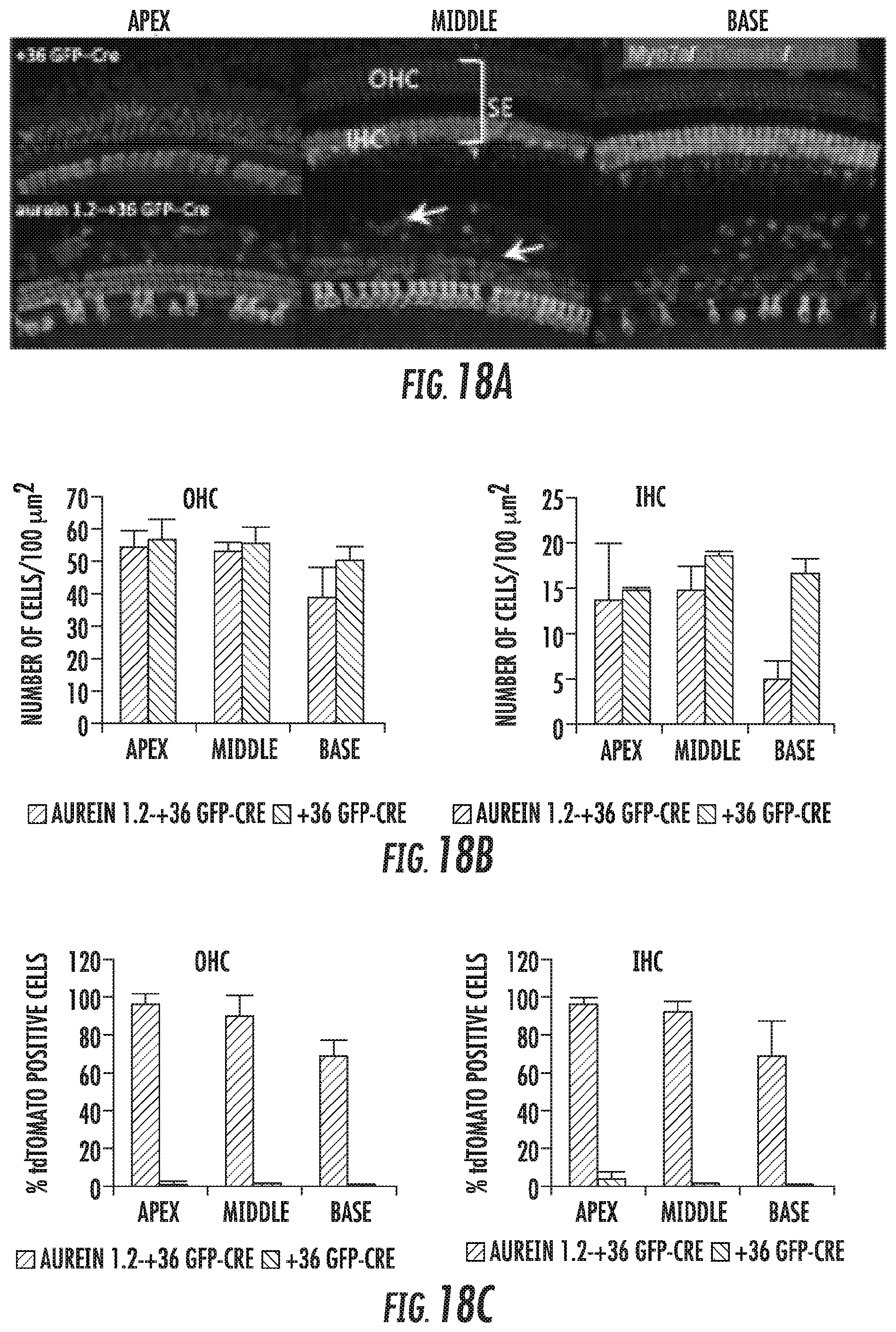 Patent US12102691 Figure 15 – Methods for efficient delivery of therapeutic molecules in vitro and in vivo