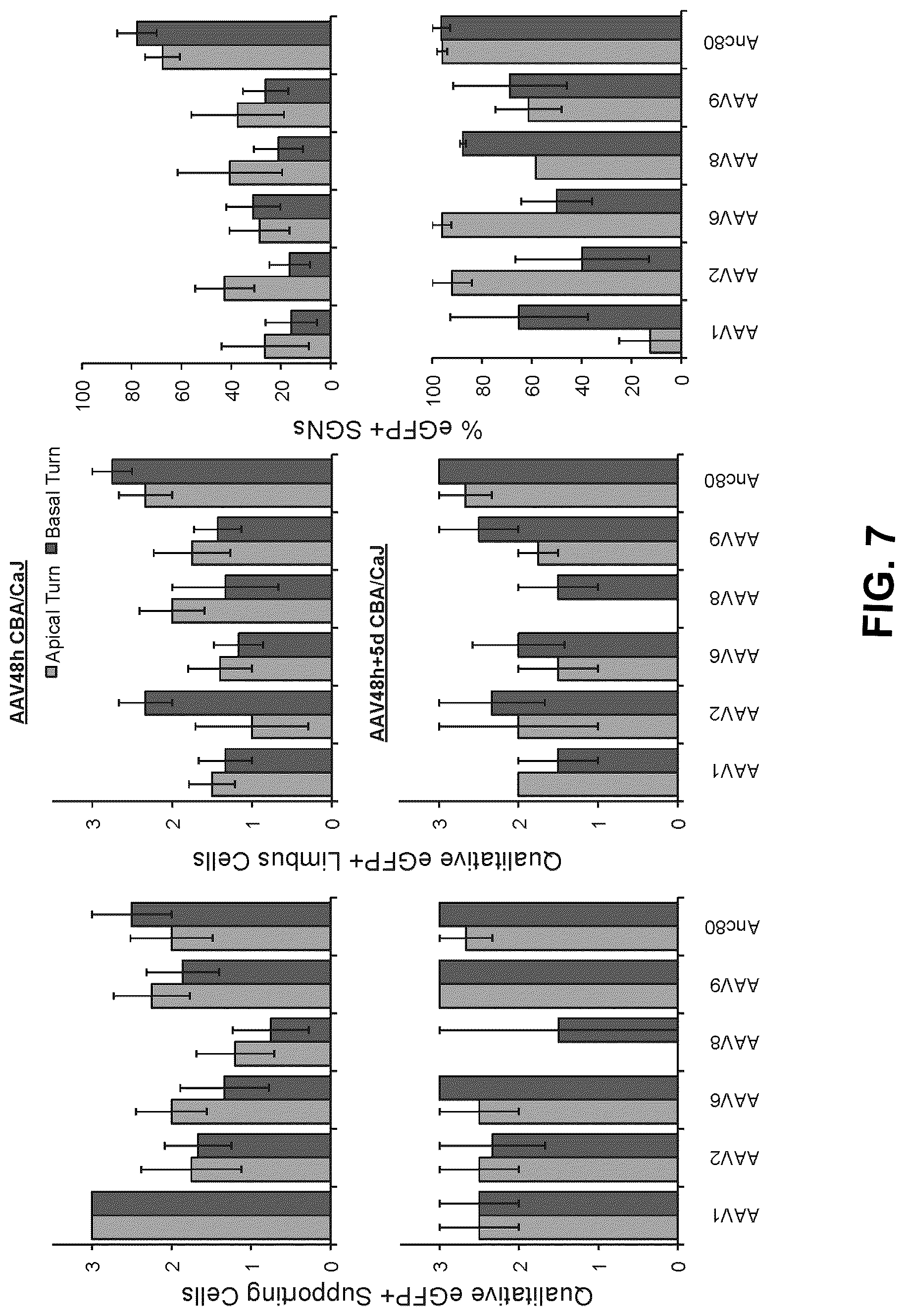 Patent US12102692 Figure 7 – Materials and methods for delivering nucleic acids to cochlear and vestibular cells