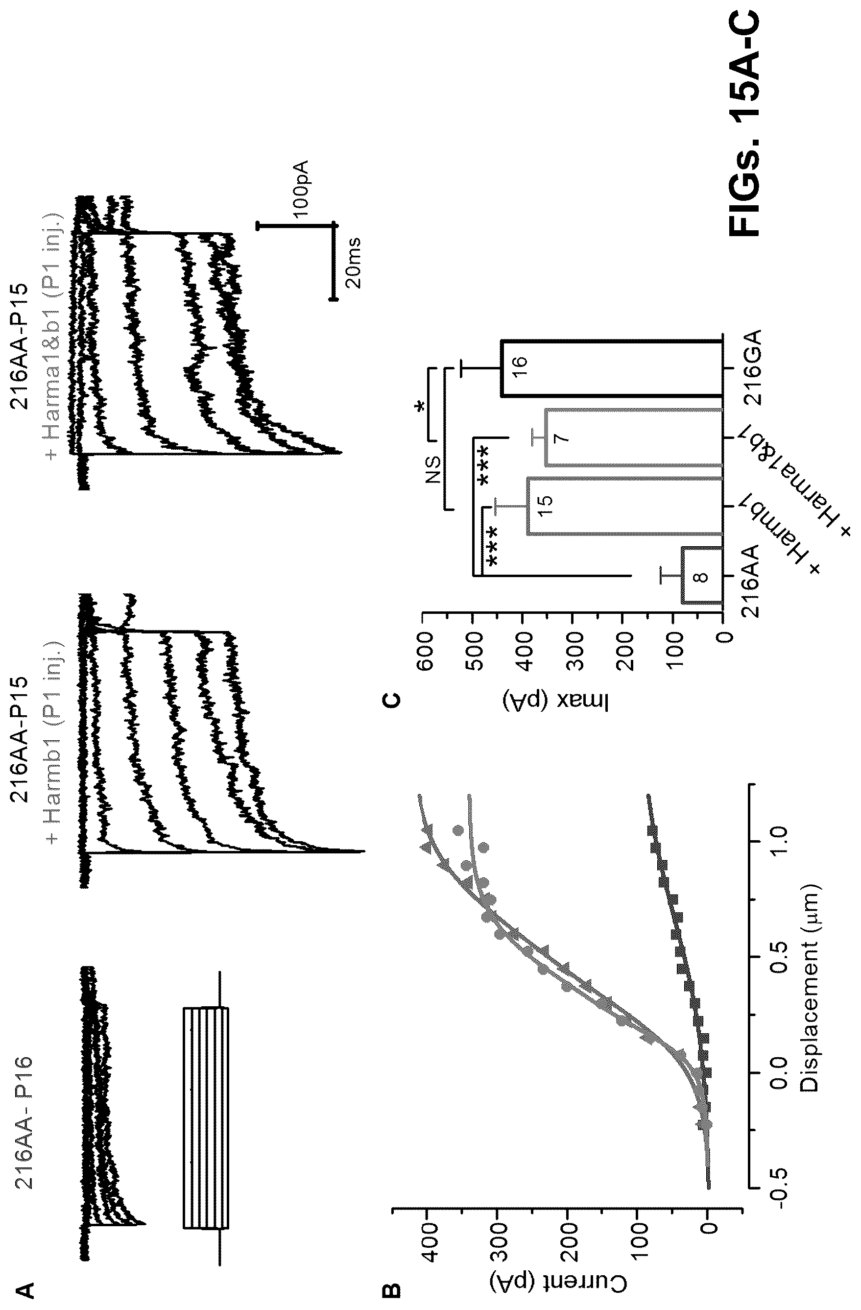 Patent US12102692 Figure 15 – Materials and methods for delivering nucleic acids to cochlear and vestibular cells