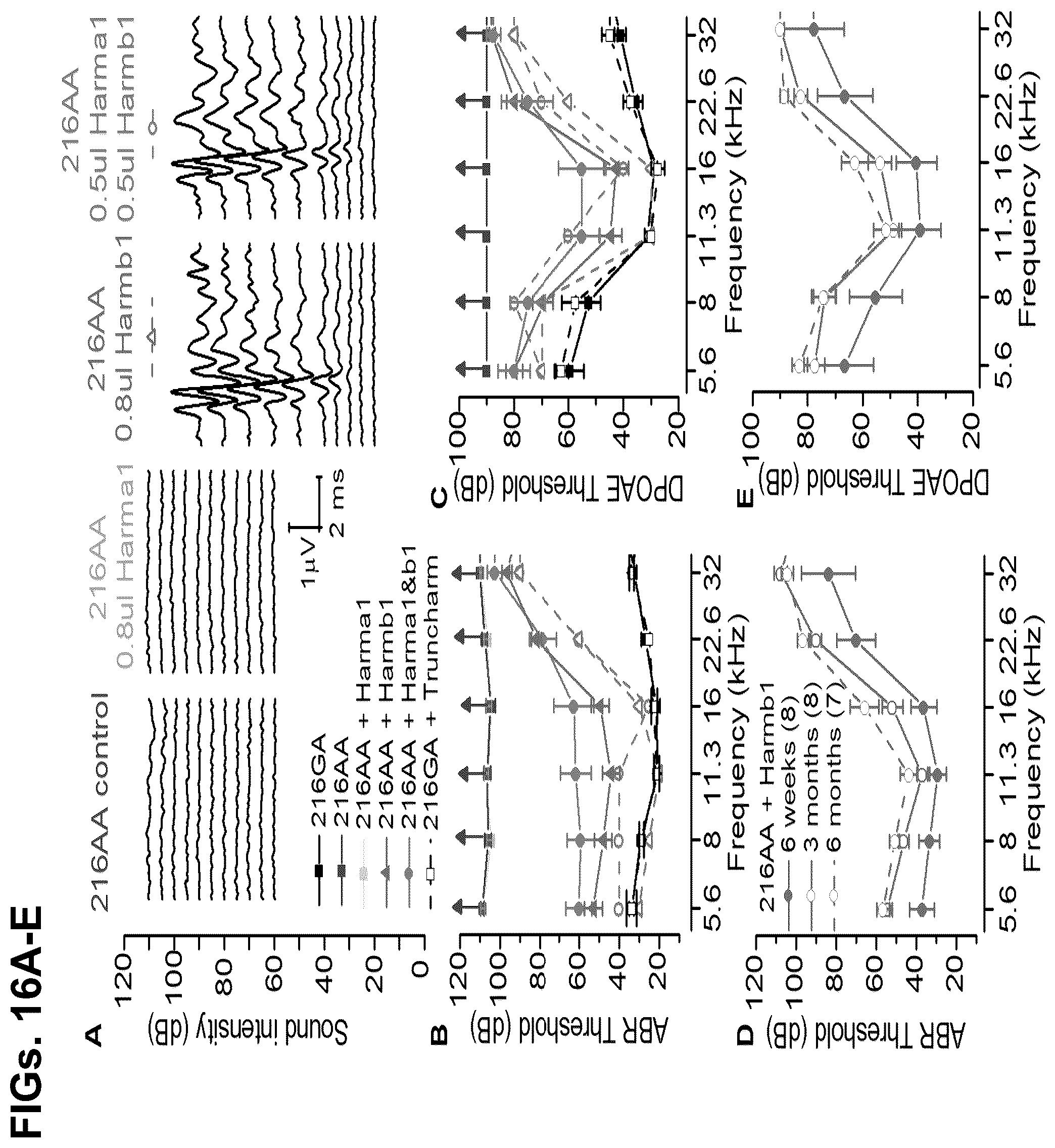 Patent US12102692 Figure 16 – Materials and methods for delivering nucleic acids to cochlear and vestibular cells