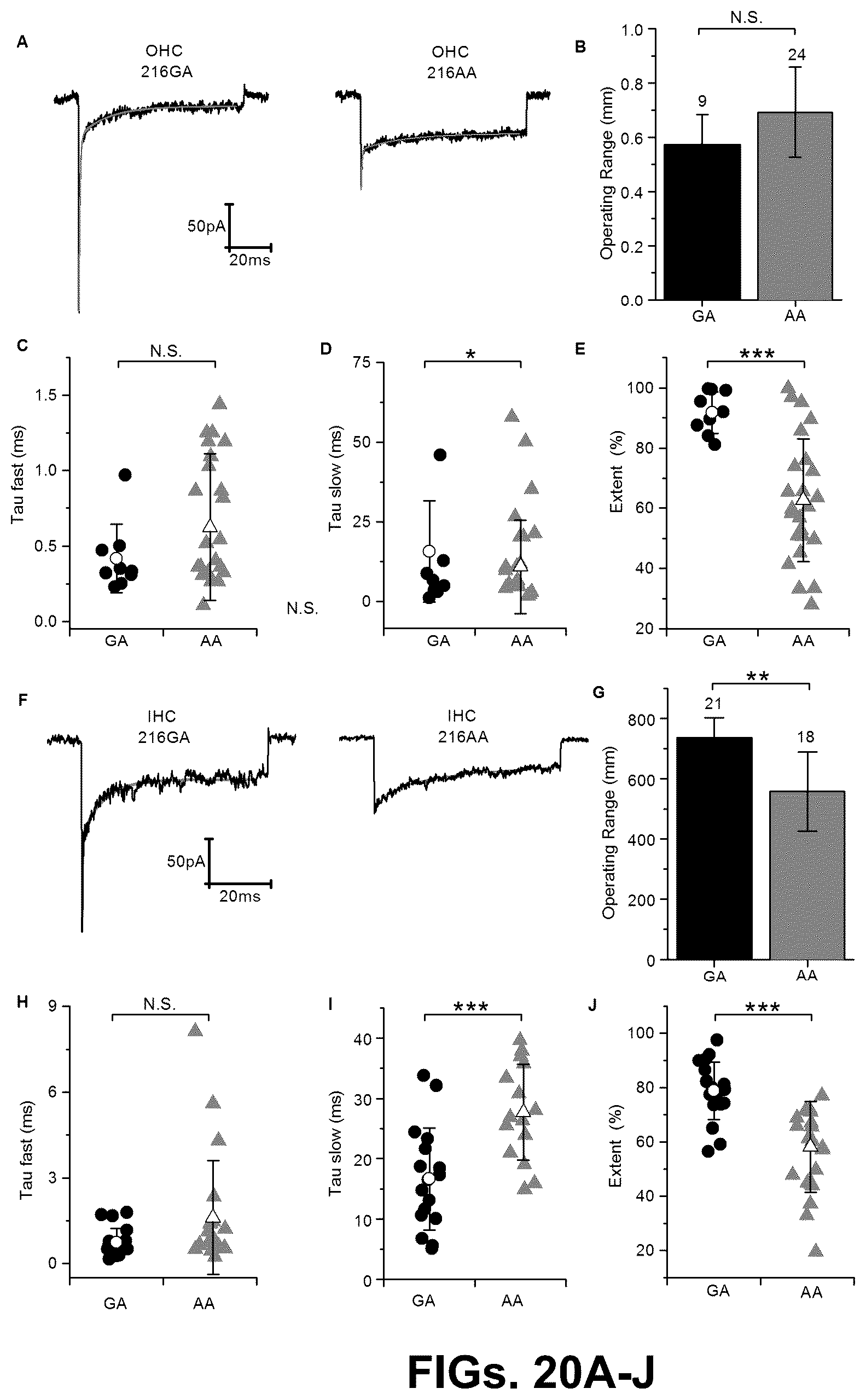 Patent US12102692 Figure 20 – Materials and methods for delivering nucleic acids to cochlear and vestibular cells
