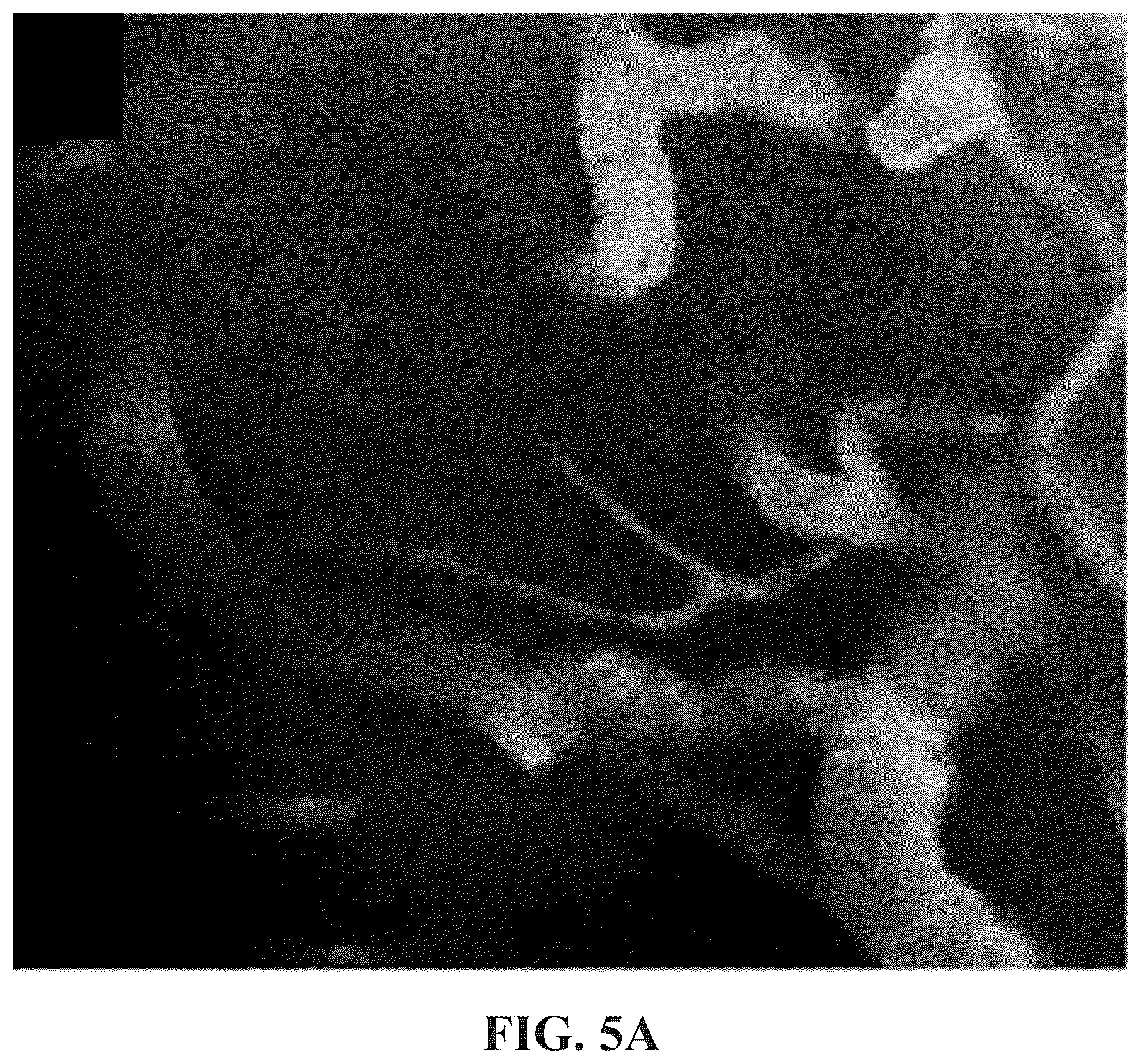 Patent US12102695 Figure 5 – Half-curcuminoids as amyloid-beta pet imaging agents