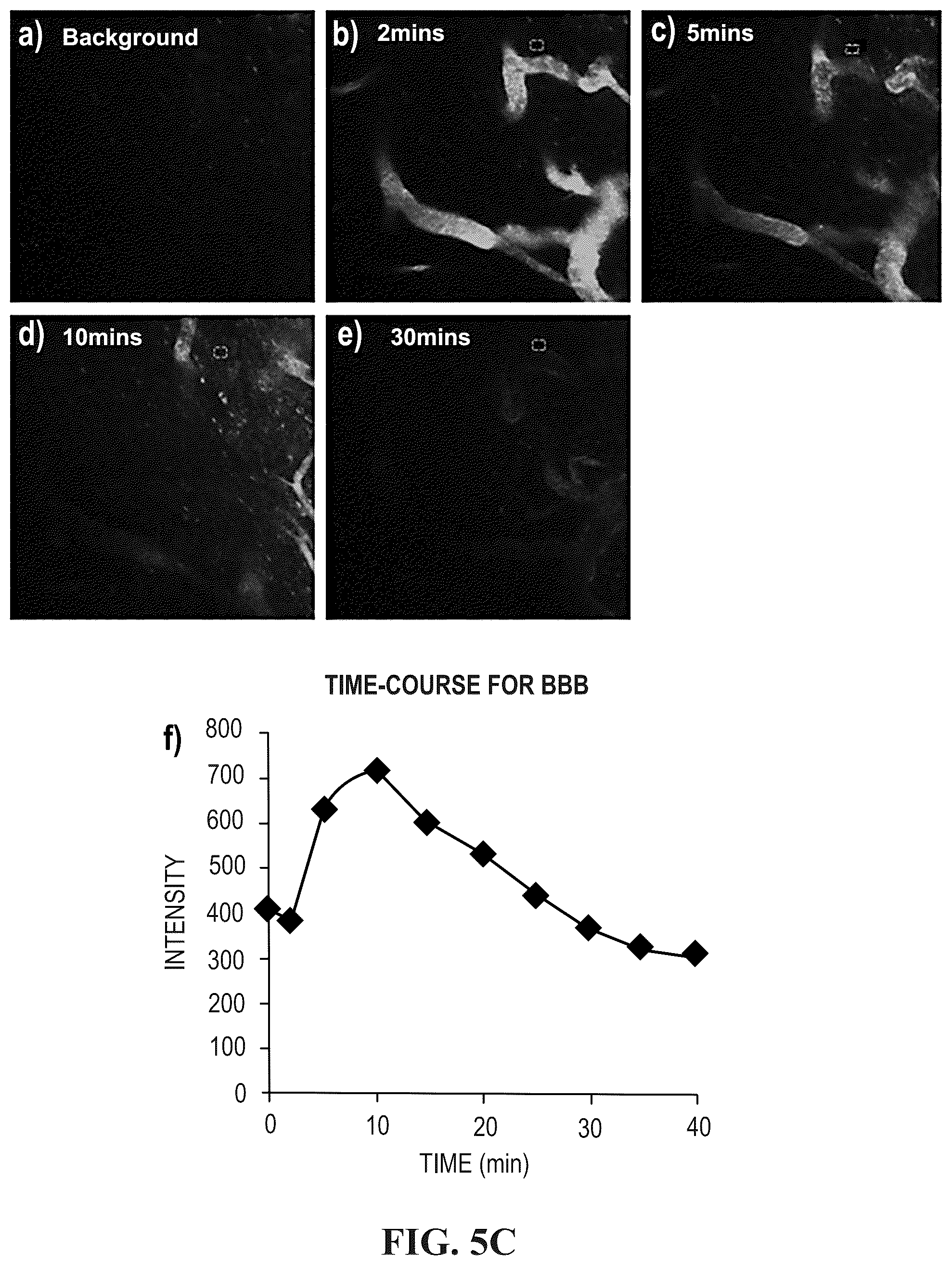 Patent US12102695 Figure 7 – Half-curcuminoids as amyloid-beta pet imaging agents