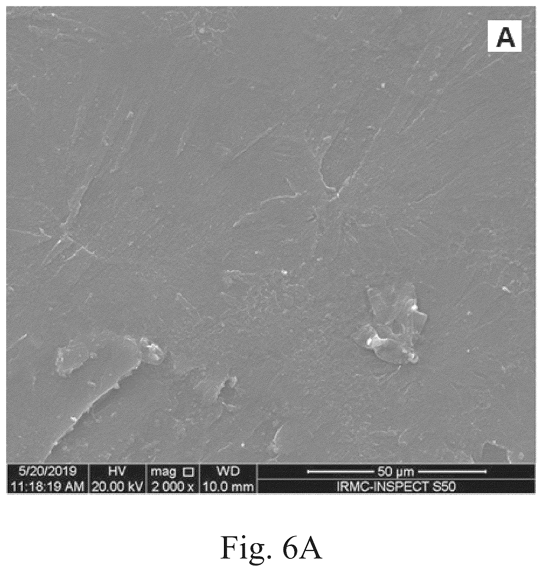 Patent US12102697 Figure 16 – Method of reducing bacterial activity in the oral cavity of a patient
