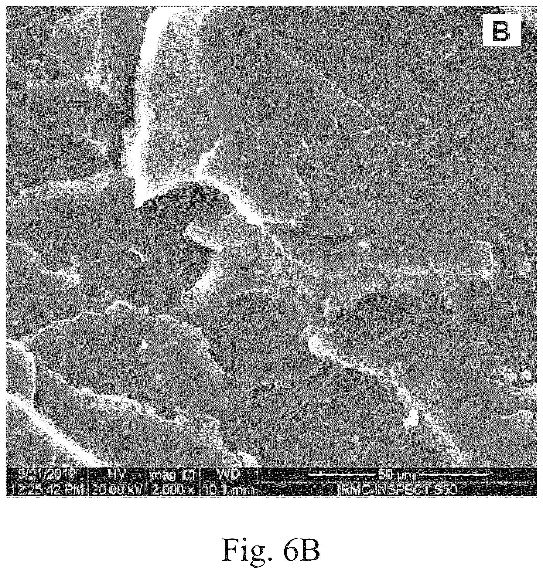 Patent US12102697 Figure 17 – Method of reducing bacterial activity in the oral cavity of a patient
