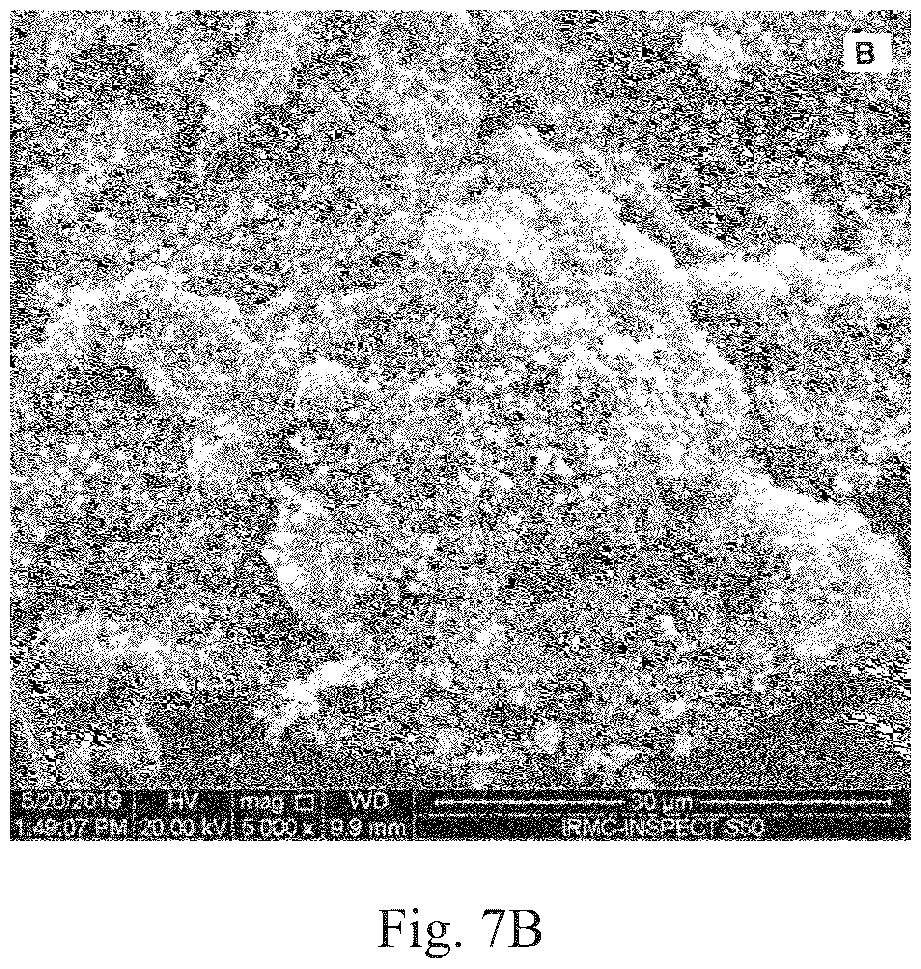 Patent US12102697 Figure 20 – Method of reducing bacterial activity in the oral cavity of a patient