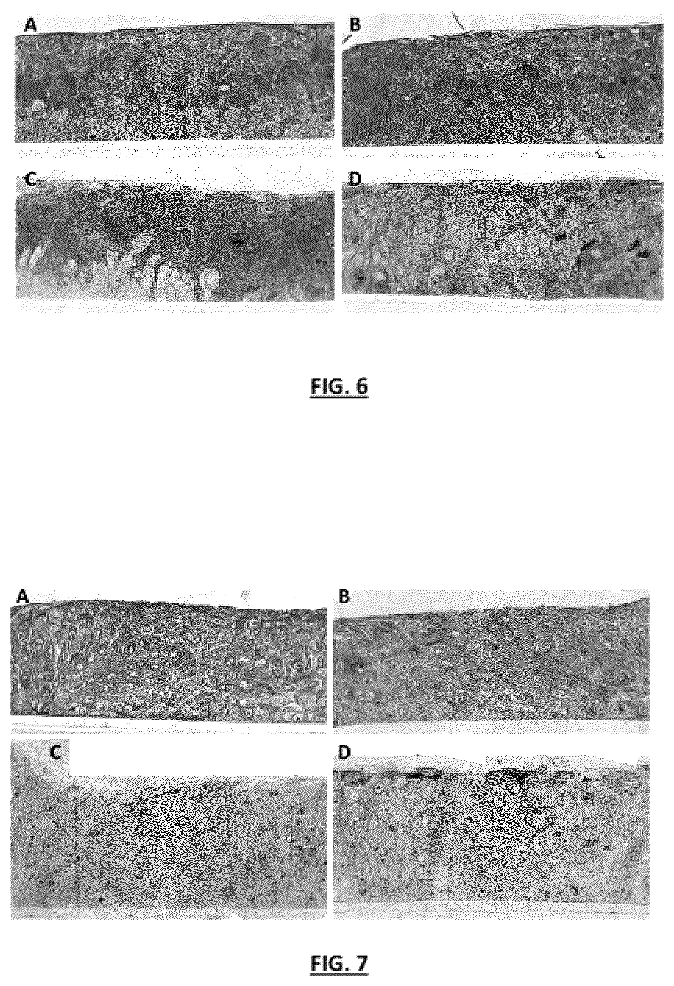 Patent US12102701 Figure 4 – Oral care product