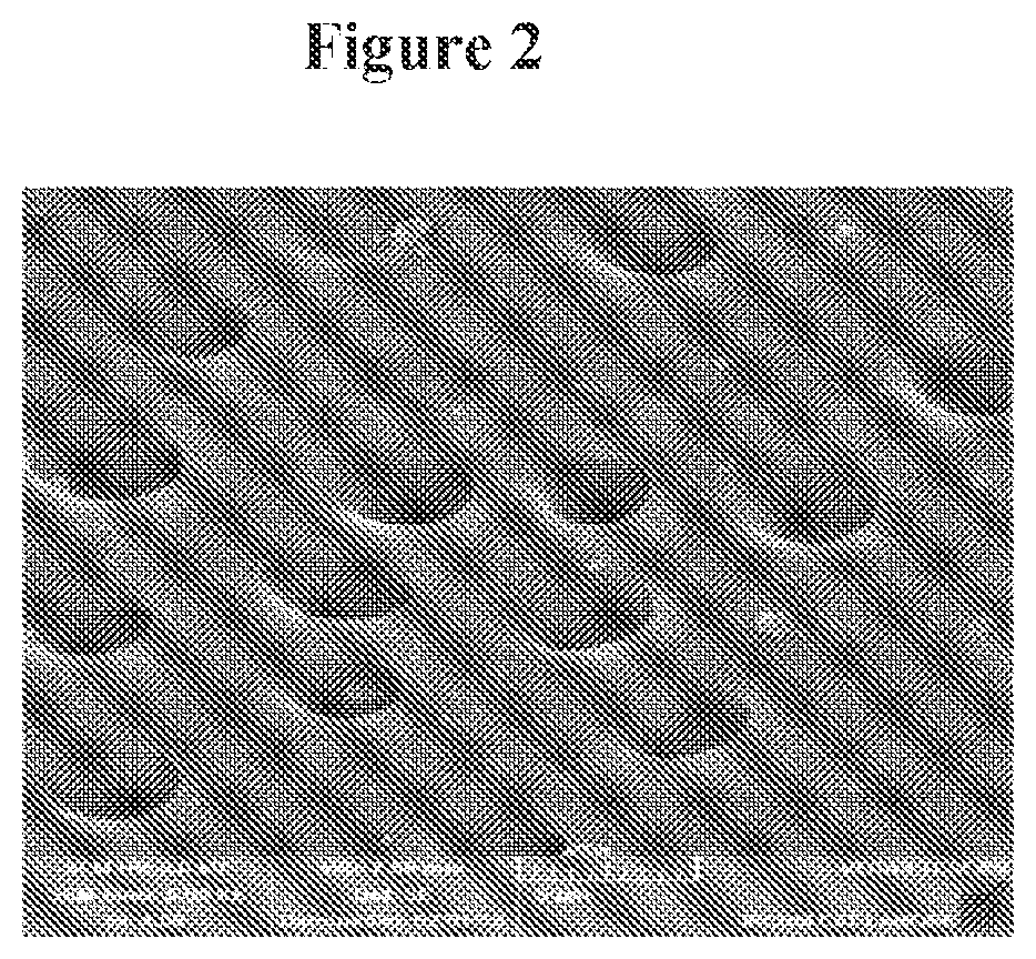Patent US12102708 Figure 3 – Treatment method for teeth and gums