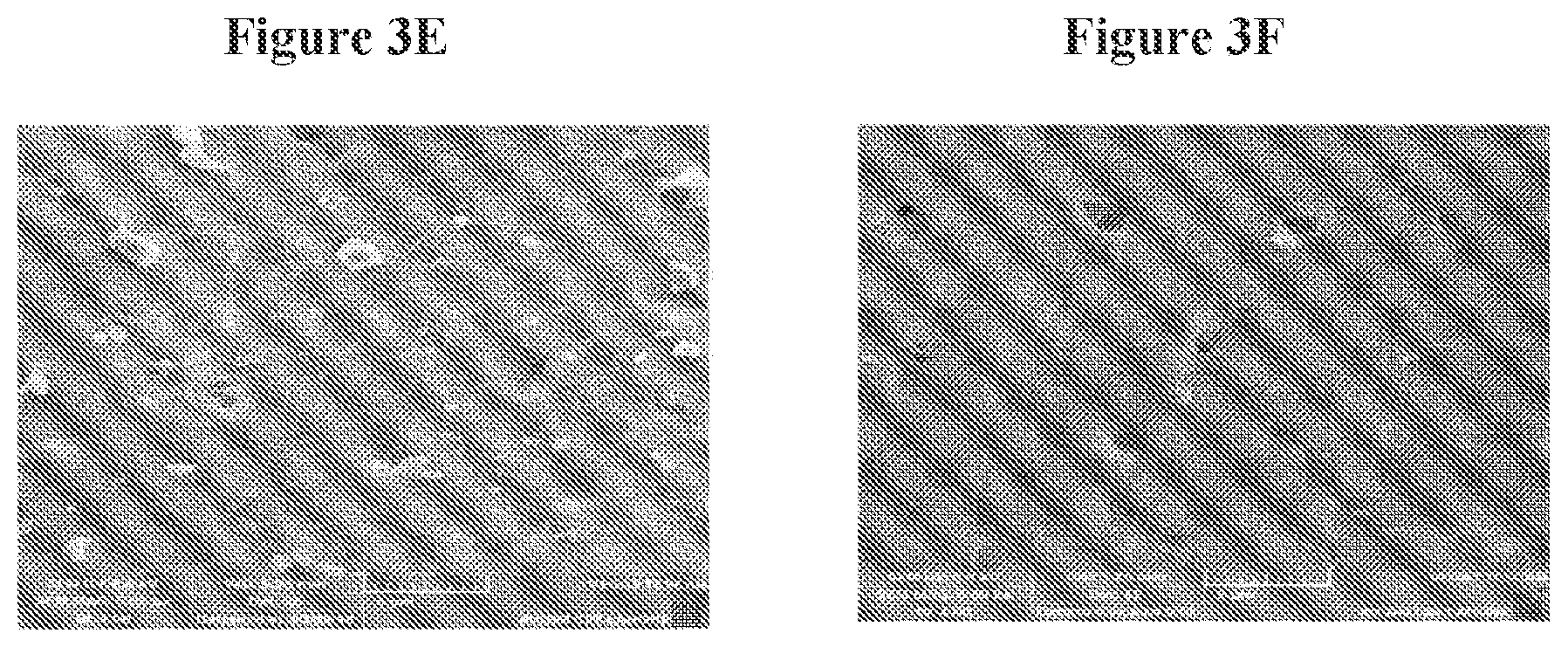 Patent US12102708 Figure 5 – Treatment method for teeth and gums