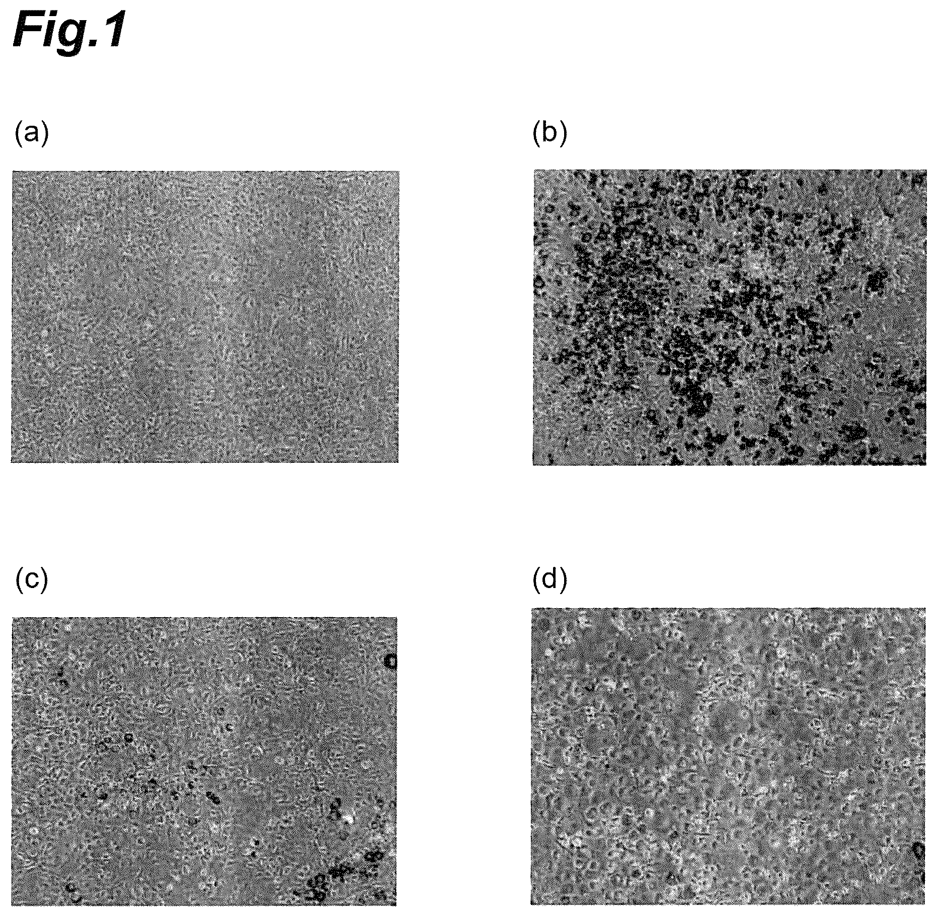 Patent US12102709 Figure 1 – Anti-obesity agent, anti-dementia agent, deodorant, anti-aging agent, anti-glycation agent, anti-type I allergy agent, hypotensive agent, flavor improving agent, muscle enhancing agent, and bone metabolism improving agent