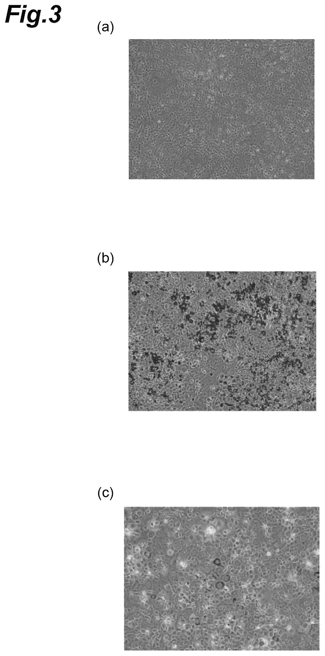 Patent US12102709 Figure 3 – Anti-obesity agent, anti-dementia agent, deodorant, anti-aging agent, anti-glycation agent, anti-type I allergy agent, hypotensive agent, flavor improving agent, muscle enhancing agent, and bone metabolism improving agent