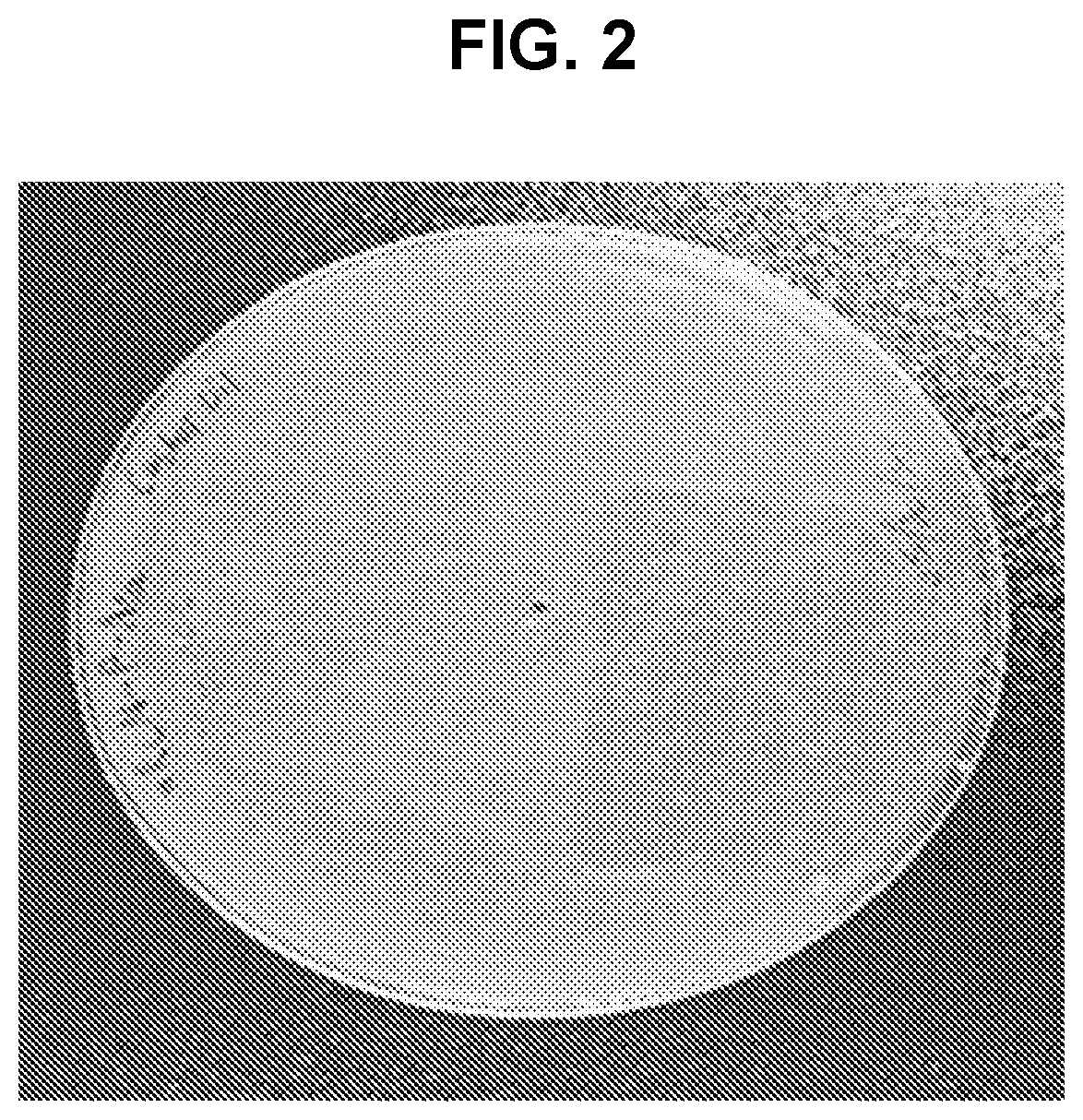 Patent US12102710 Figure 2 – Probiotic skin formulations