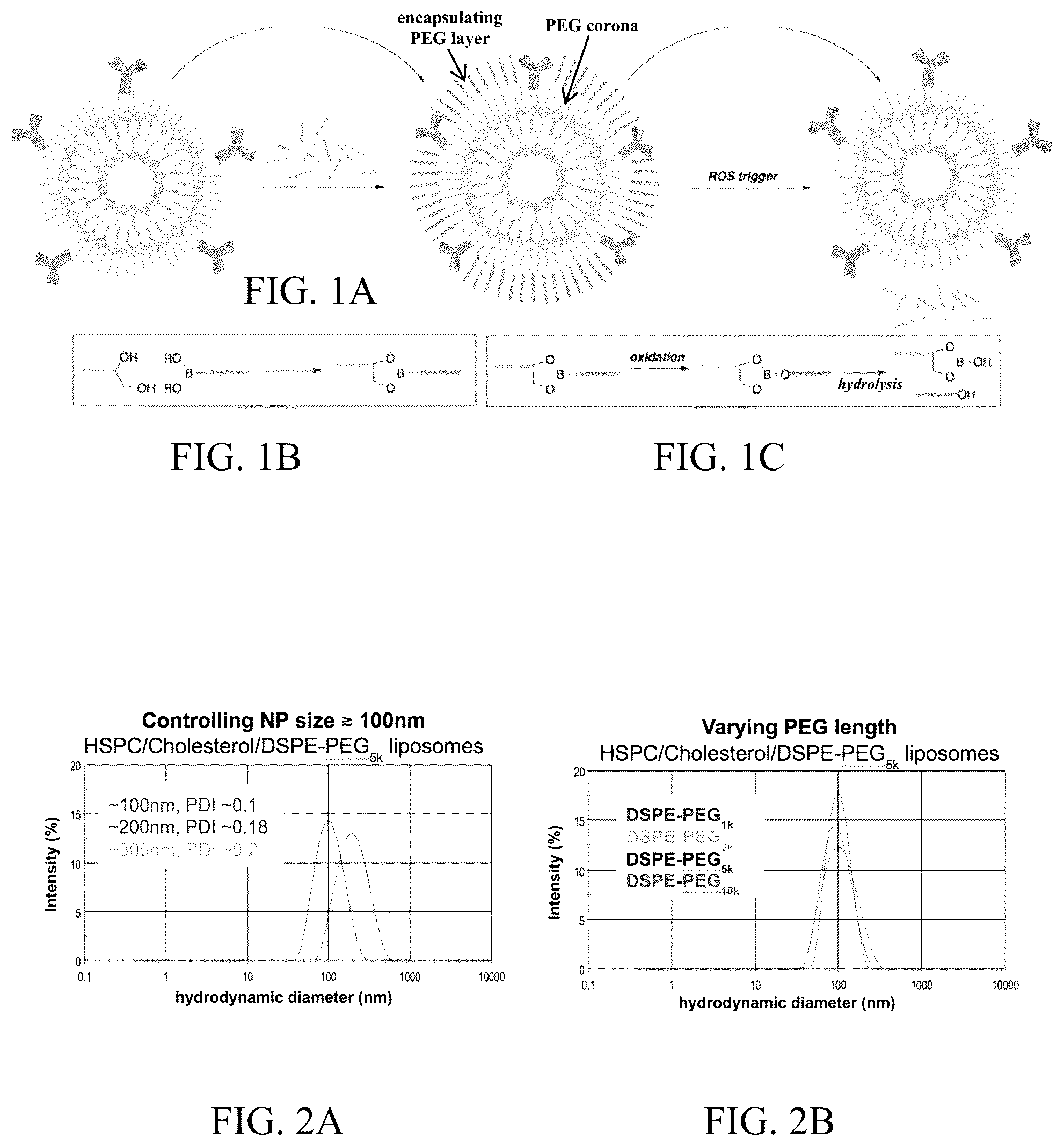 Patent US12102715 Figure 1 – ROS-responsive liposomes for specific targeting