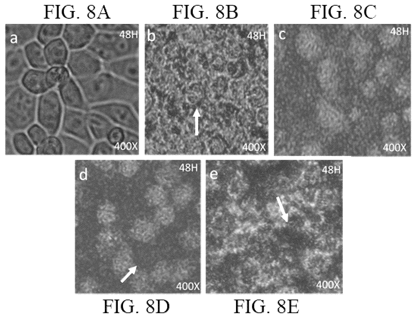 Patent US12102716 Figure 6 – Method for making solid silica spheres
