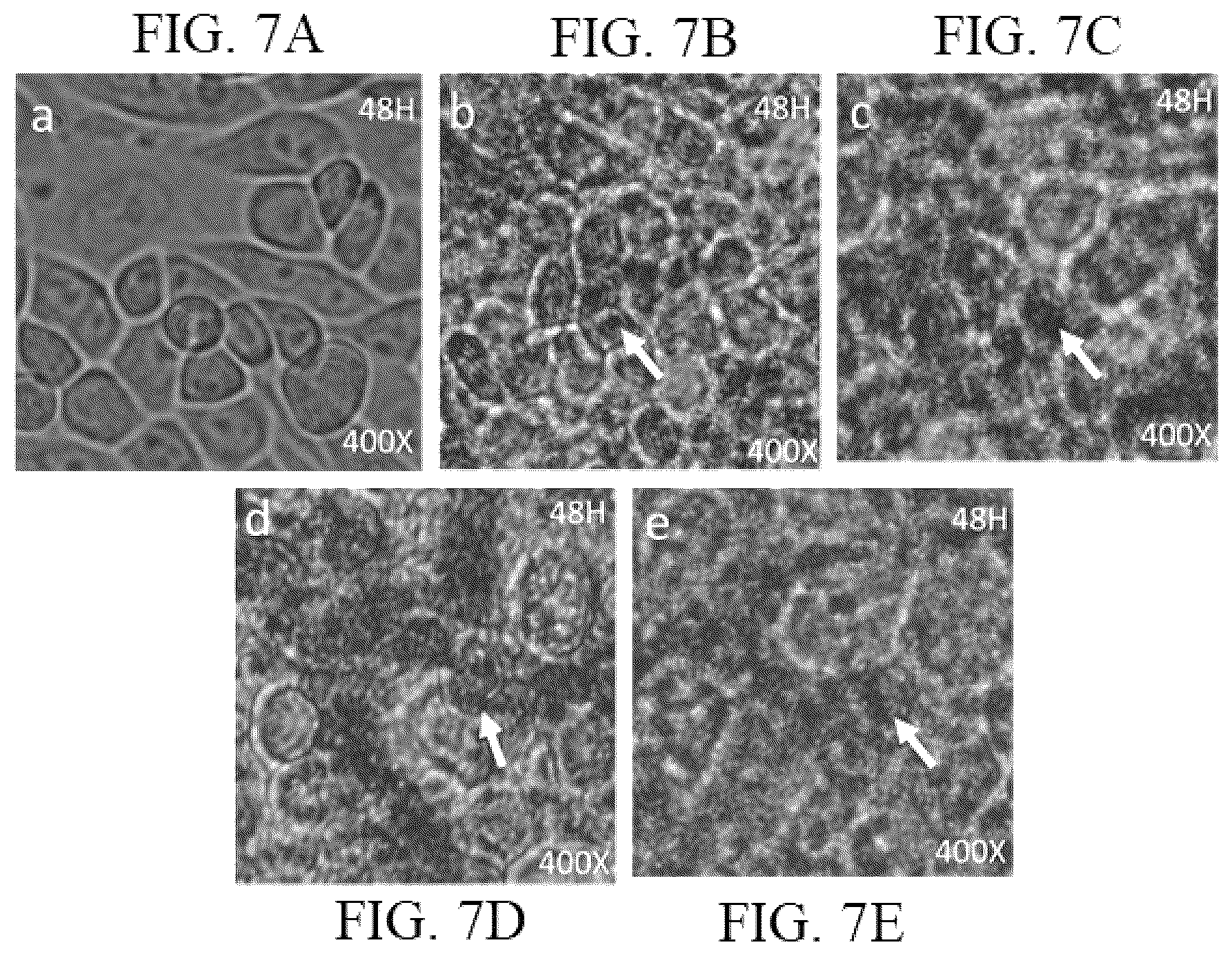 Patent US12102718 Figure 5 – Multistage calcination method for making hollow silica spheres