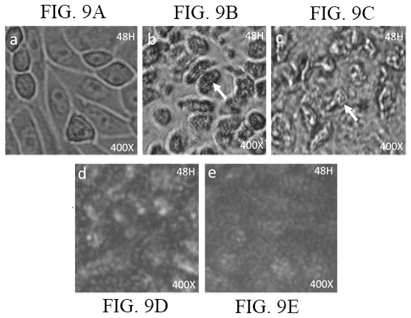 Patent US12102718 Figure 7 – Multistage calcination method for making hollow silica spheres