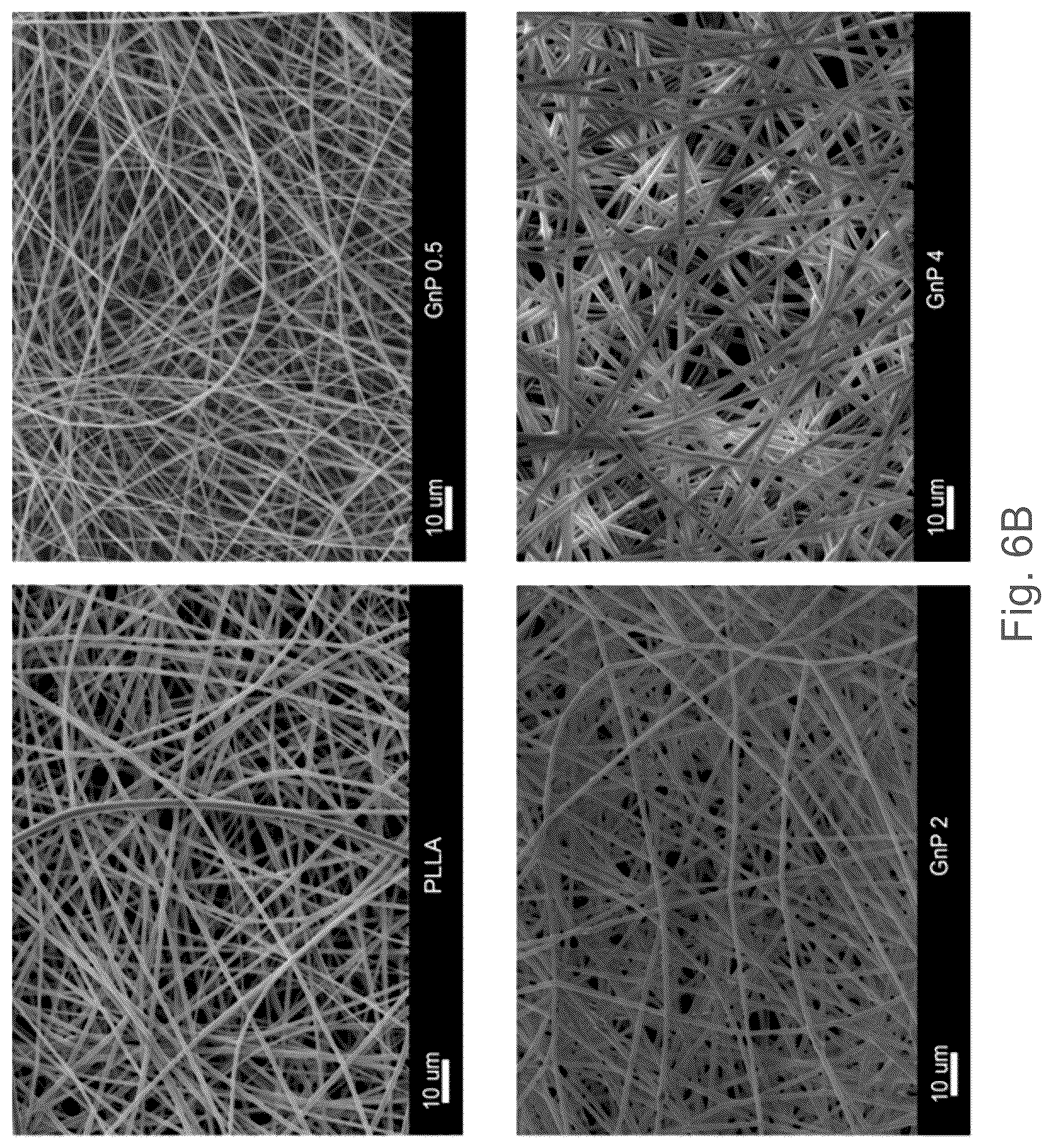 Patent US12102730 Figure 7 – Graphene-based nanofibers for skeletal muscle tissue regeneration