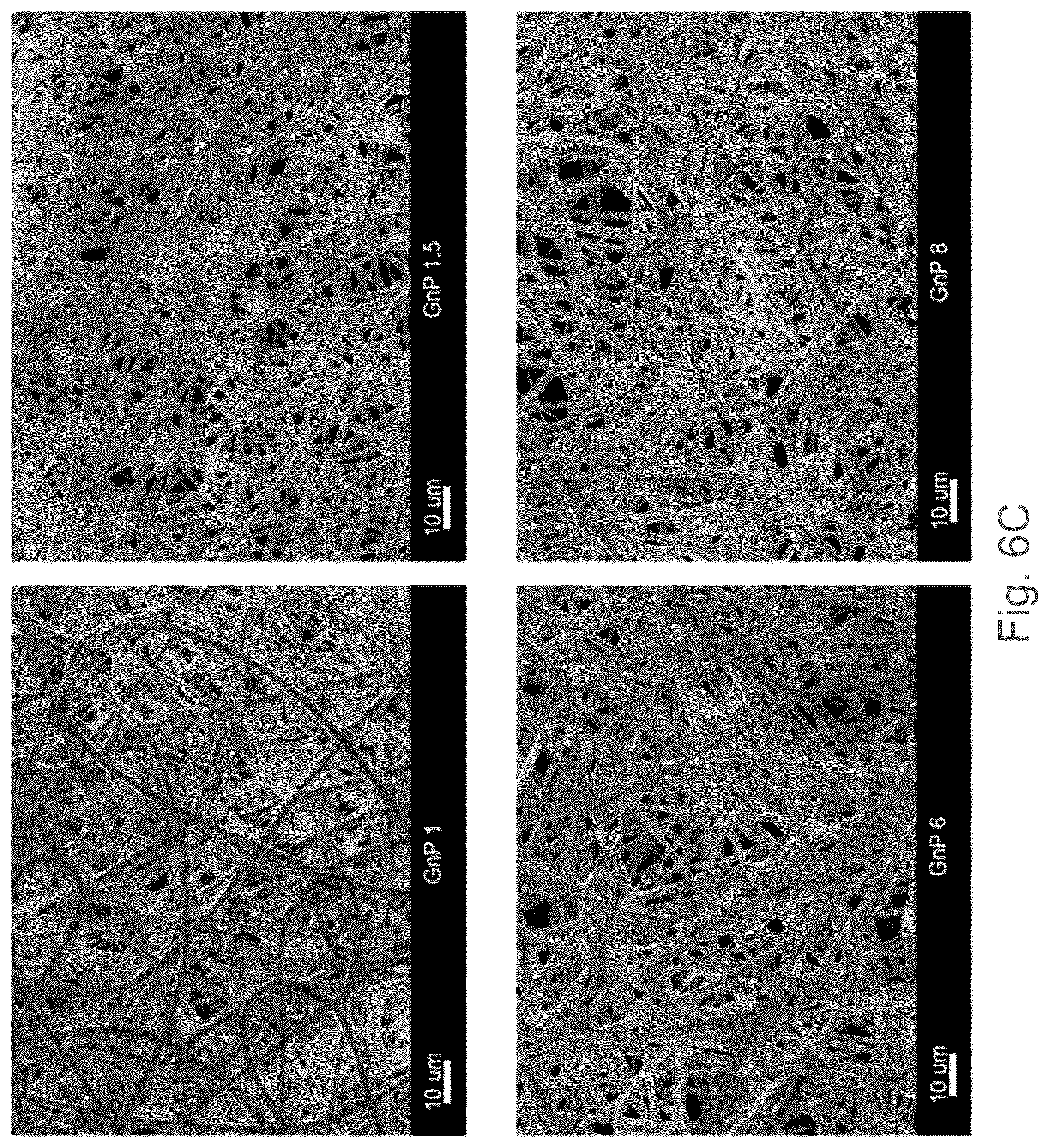 Patent US12102730 Figure 8 – Graphene-based nanofibers for skeletal muscle tissue regeneration
