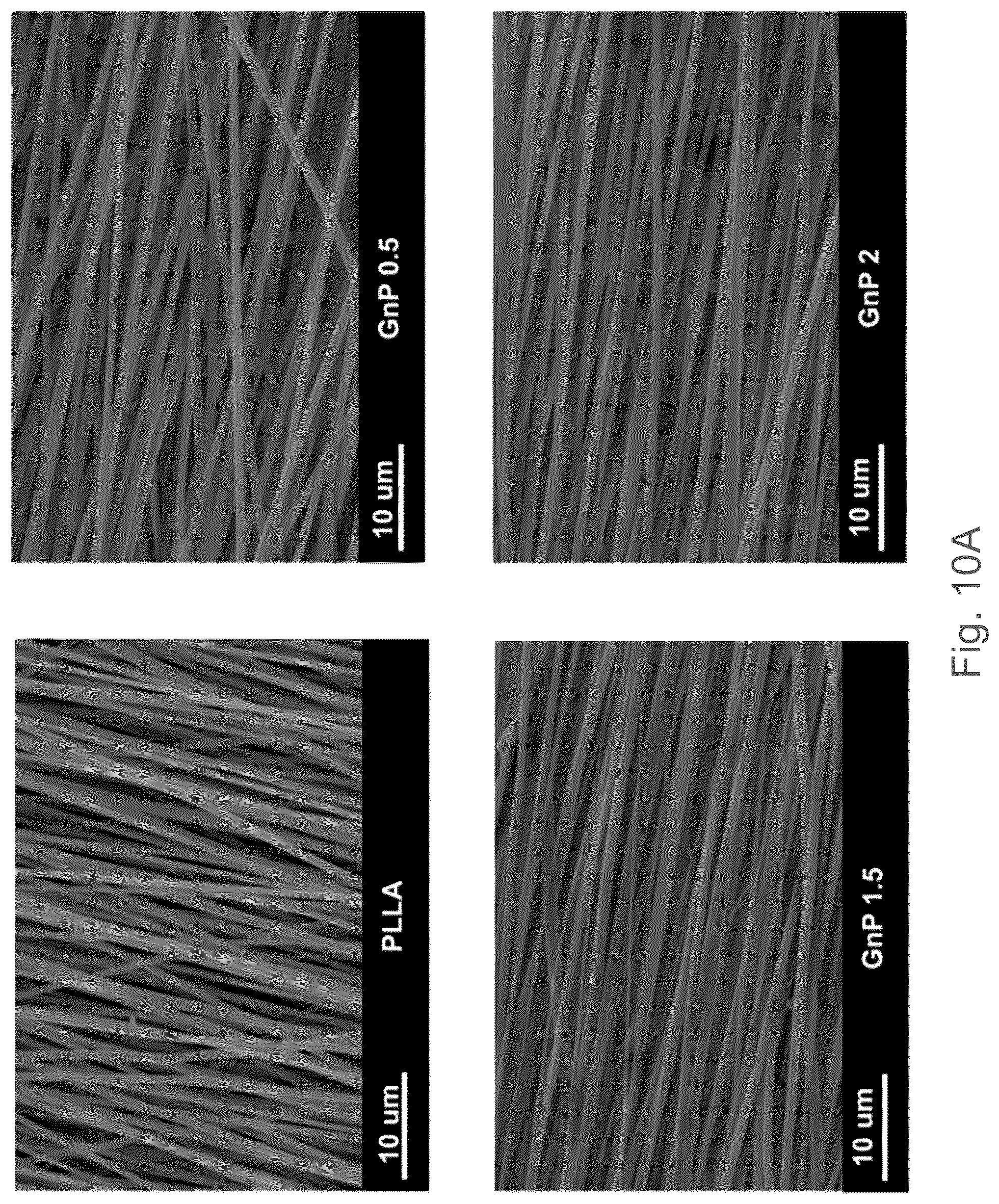 Patent US12102730 Figure 20 – Graphene-based nanofibers for skeletal muscle tissue regeneration