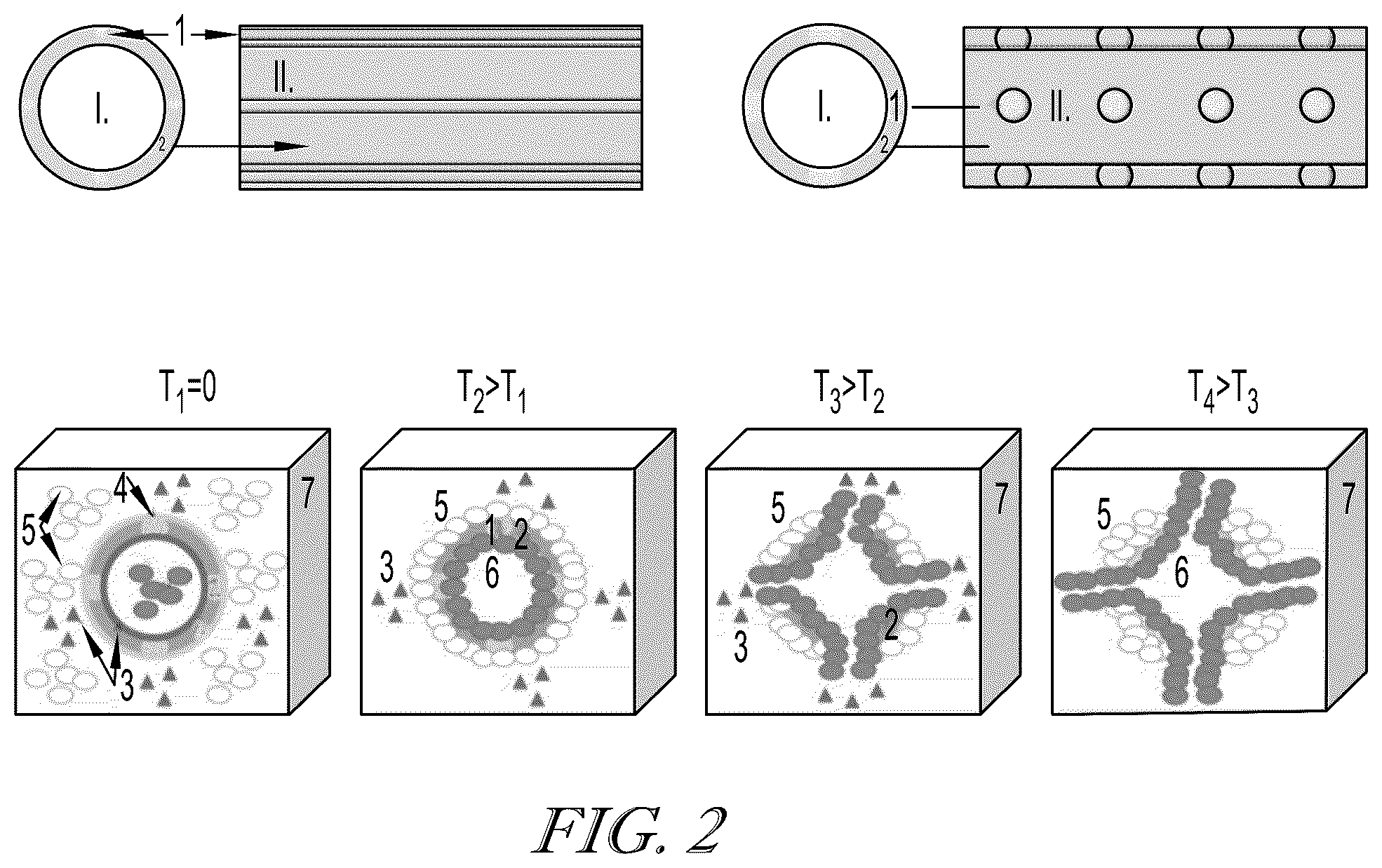 Patent US12102734 Figure 2 – Methods for creating three-dimensional biosynthetic tissue