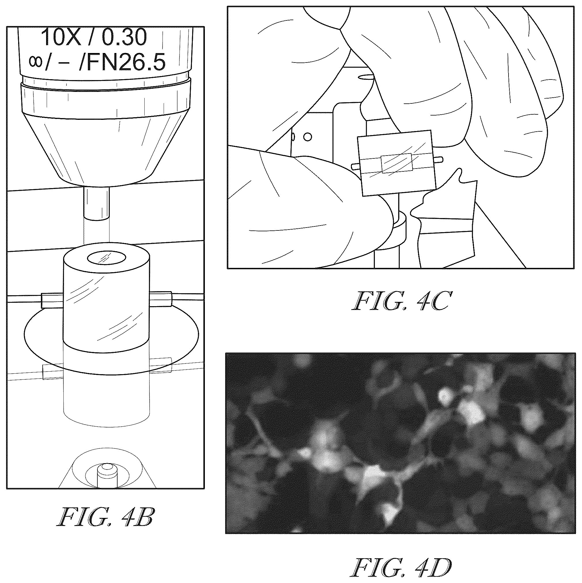 Patent US12102734 Figure 7 – Methods for creating three-dimensional biosynthetic tissue