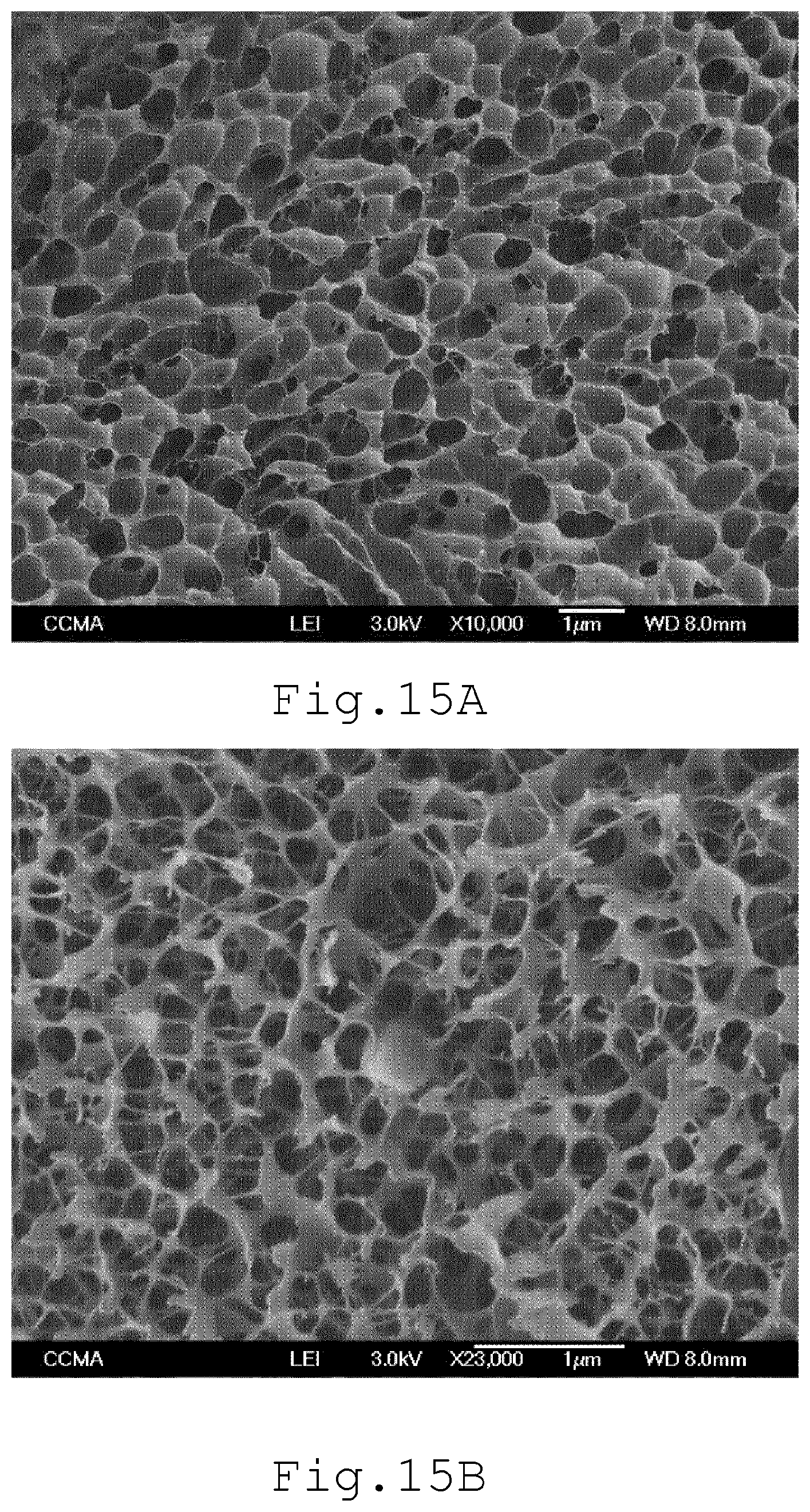 Patent US12102735 Figure 10 – Biocompatible hydrogel, process for producing same, and use thereof in a mechanical viscosupplementation system