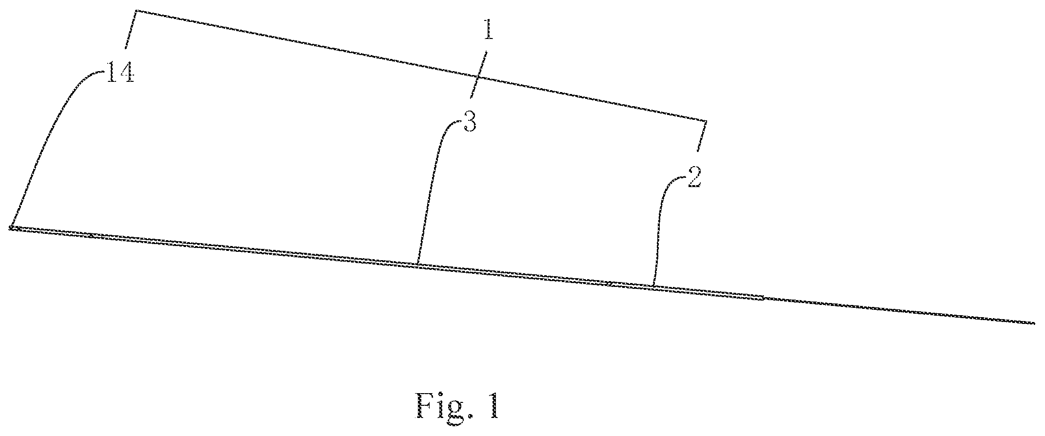 Patent US12102775 Figure 1 – Ureteral catheter structure