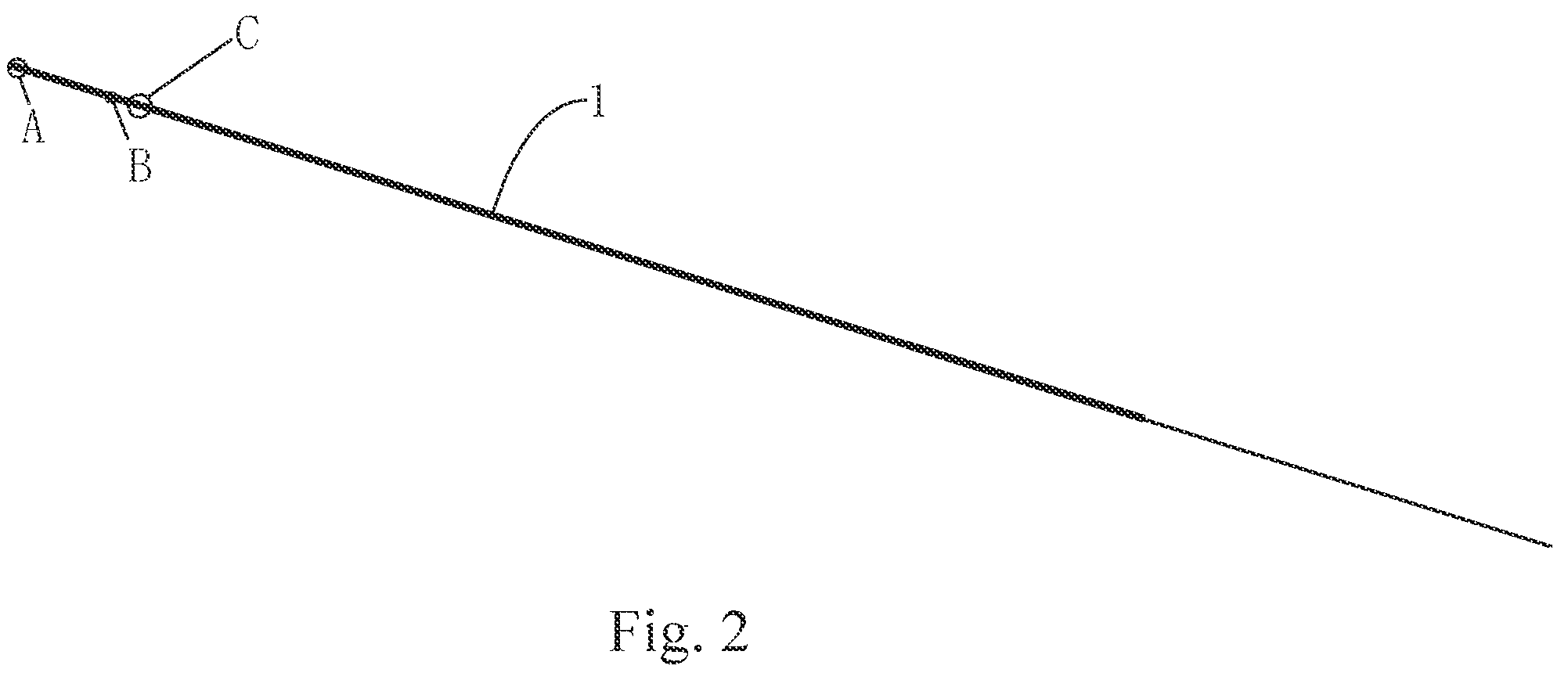 Patent US12102775 Figure 2 – Ureteral catheter structure