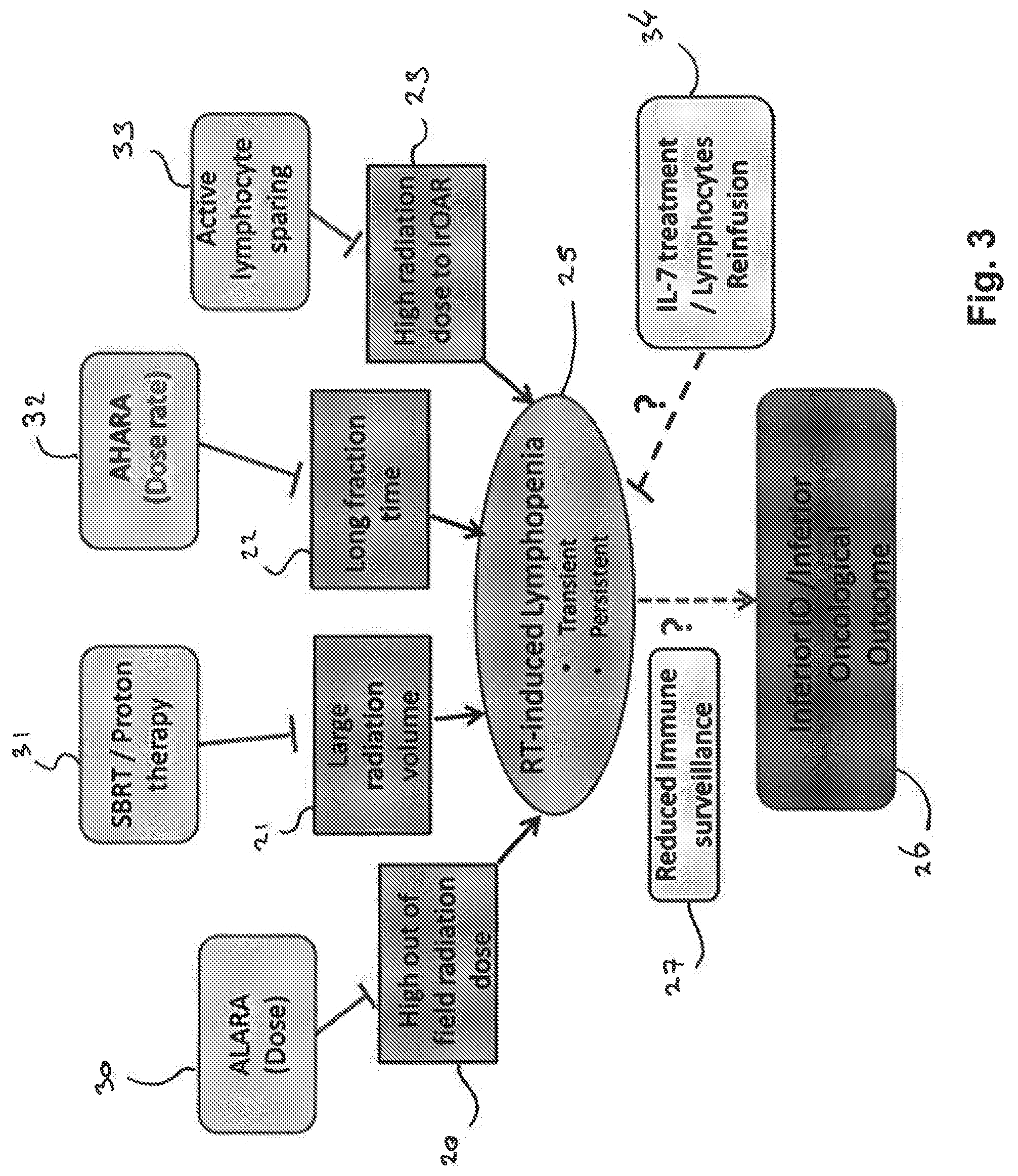 Patent US12102842 Figure 3 – Treatment and planning for lymphocytes sparing radiotherapy