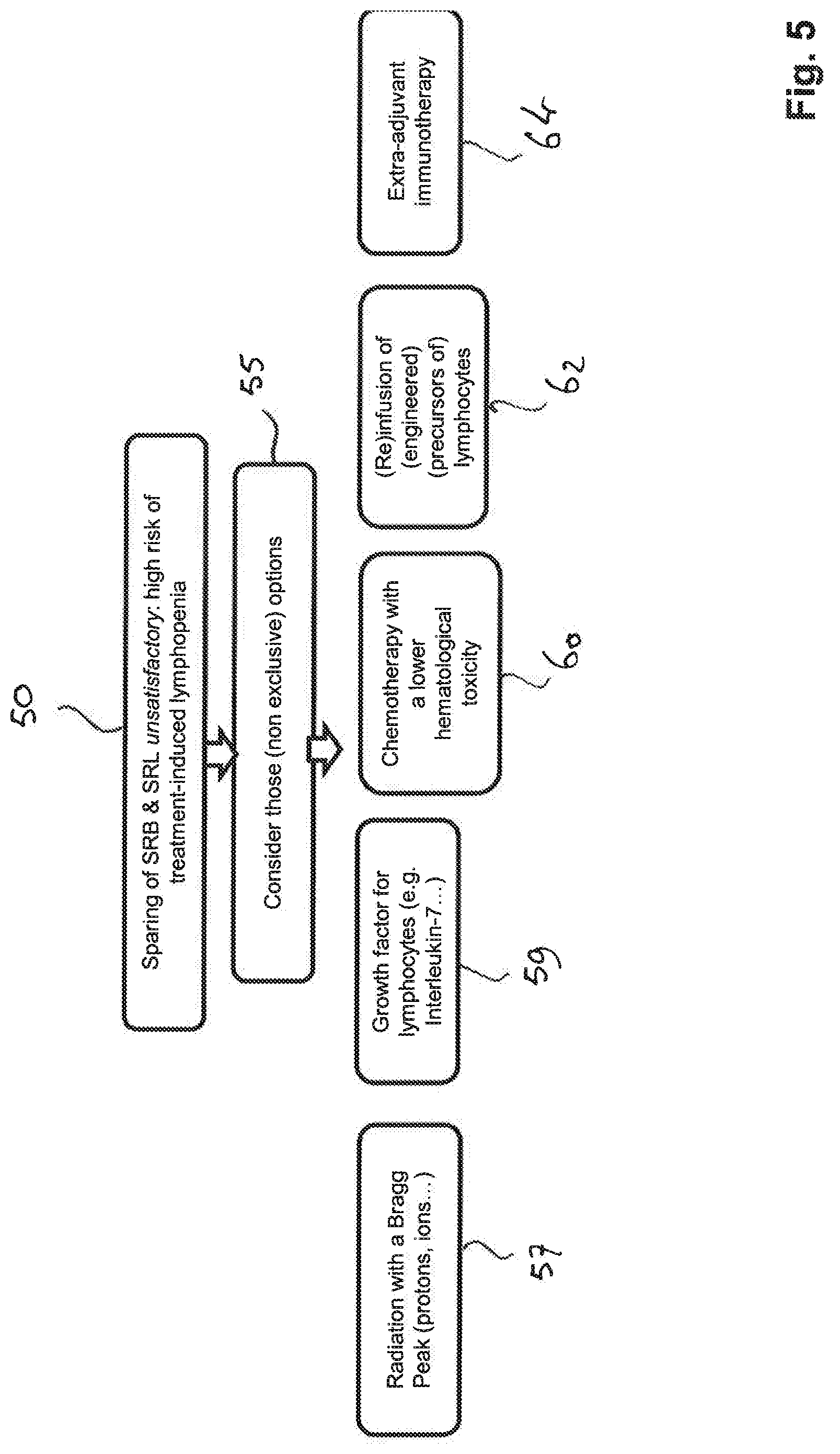 Patent US12102842 Figure 5 – Treatment and planning for lymphocytes sparing radiotherapy