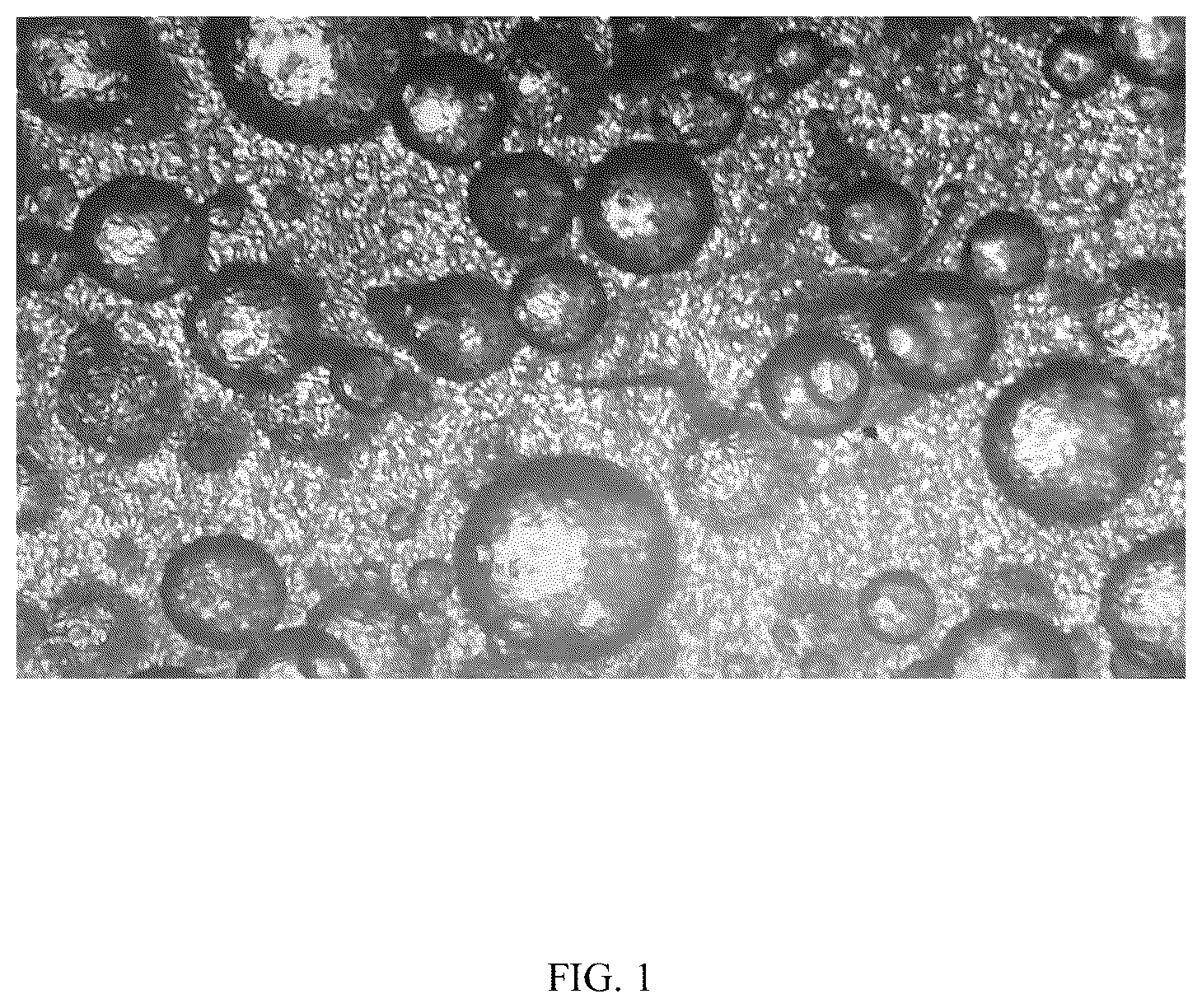 Patent US12102861 Figure 1 – Extinguishing material and preparation method thereof