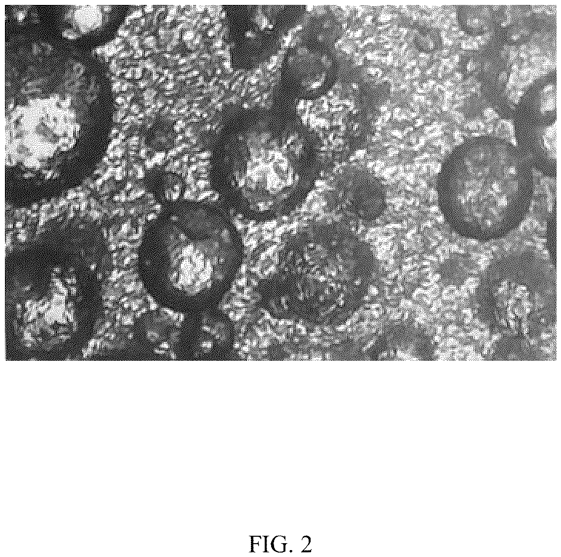 Patent US12102861 Figure 2 – Extinguishing material and preparation method thereof